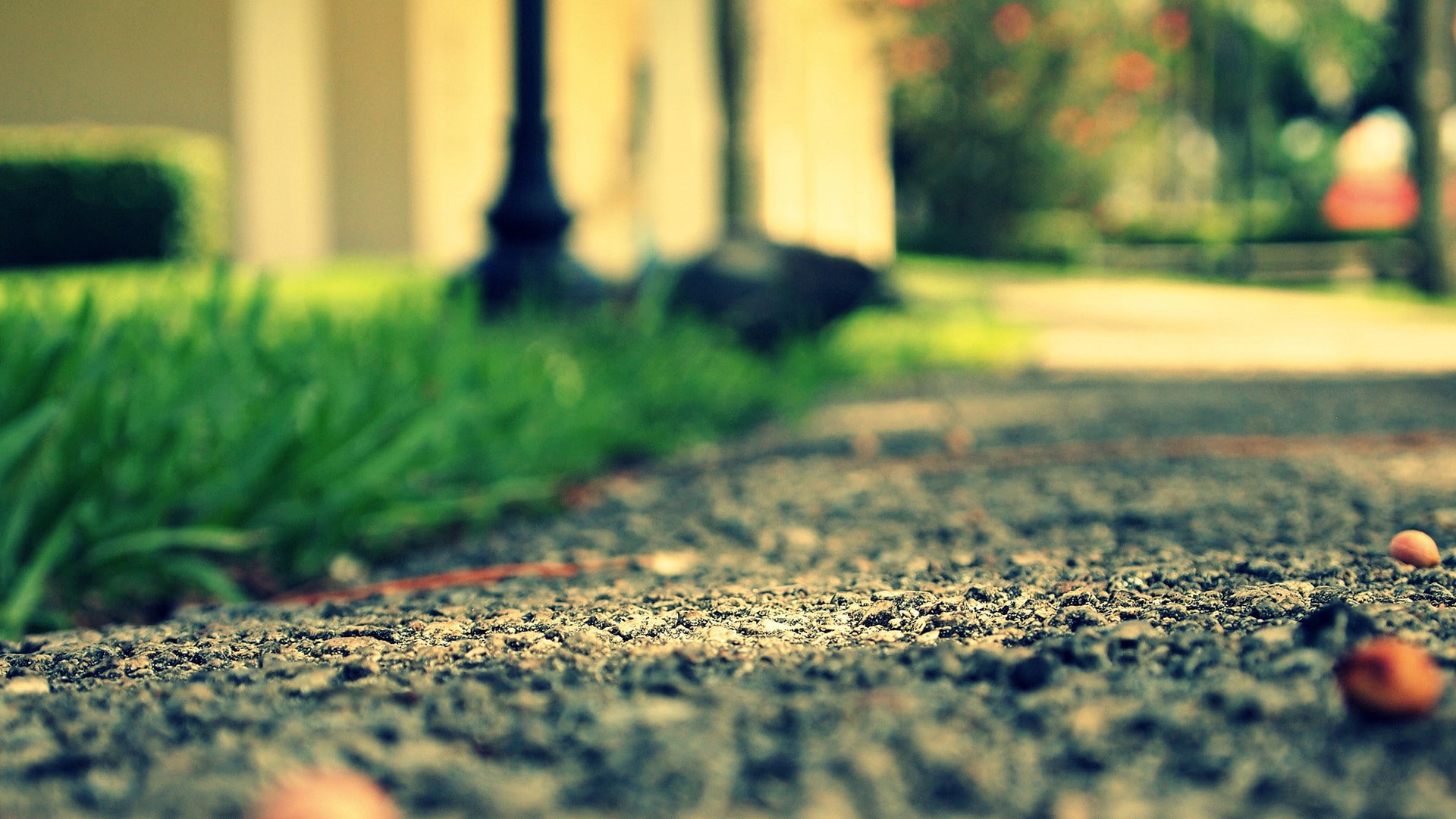 Ground Macro Blur HD nature 2k