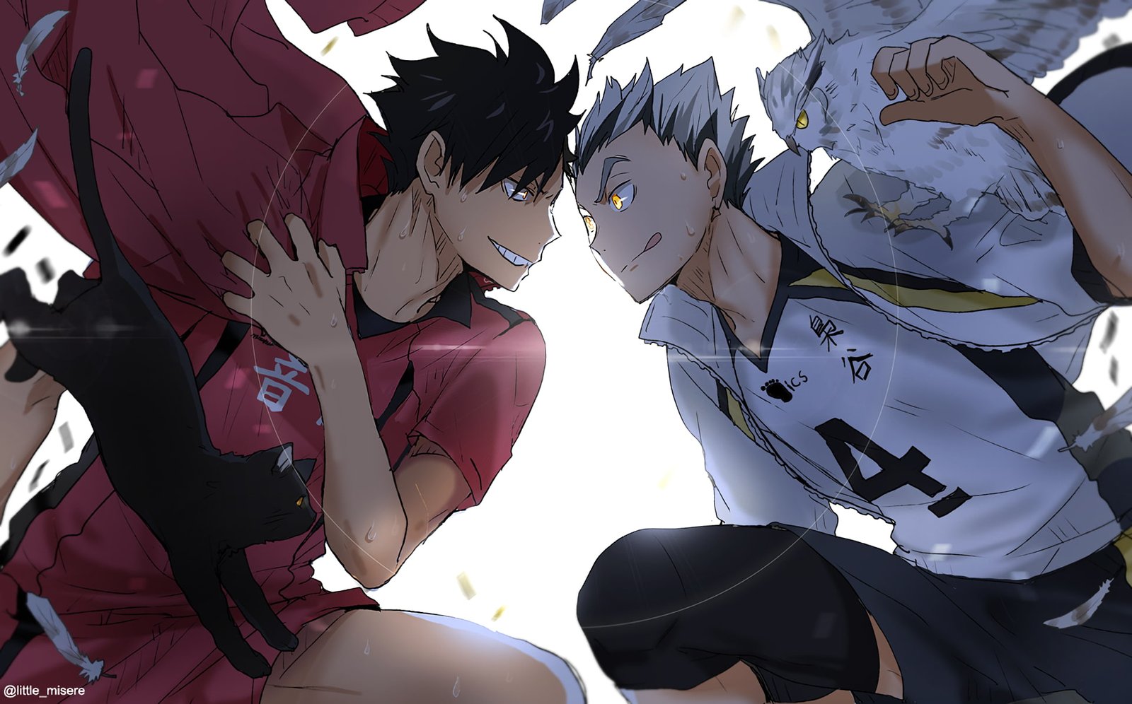 Haikyuu anime boys Kur Tetsur 2k