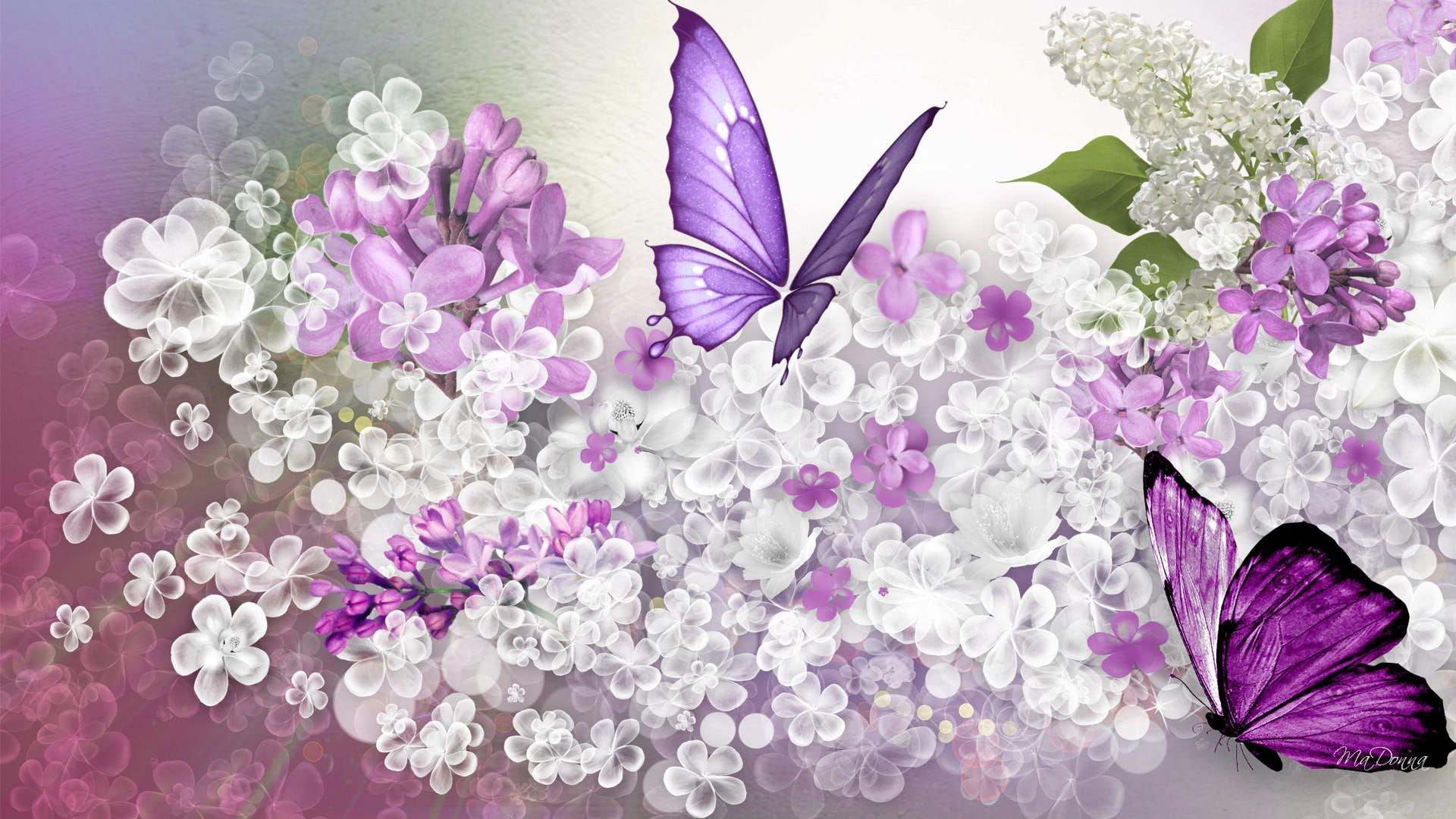 Lilac Predicition purple butterflies on white and flowers wallpaper 2k