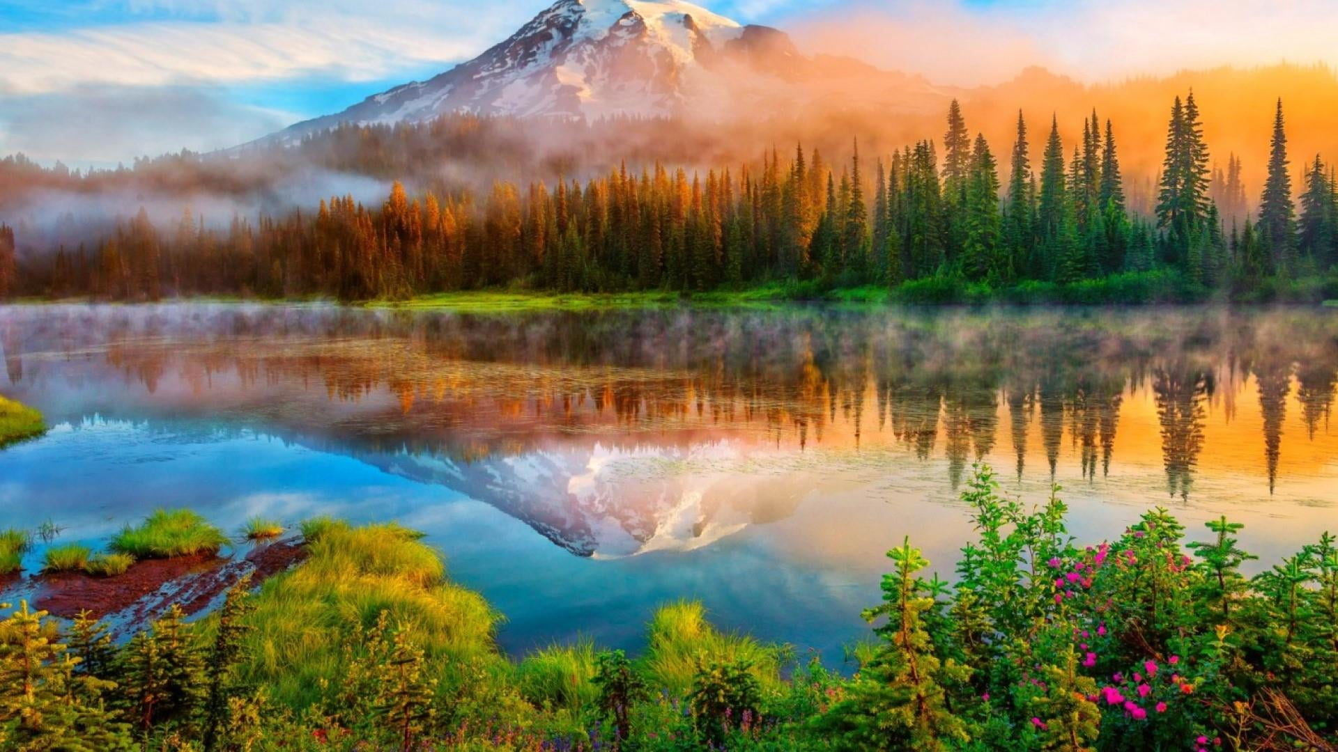 national park mount rainier united states washington 2k