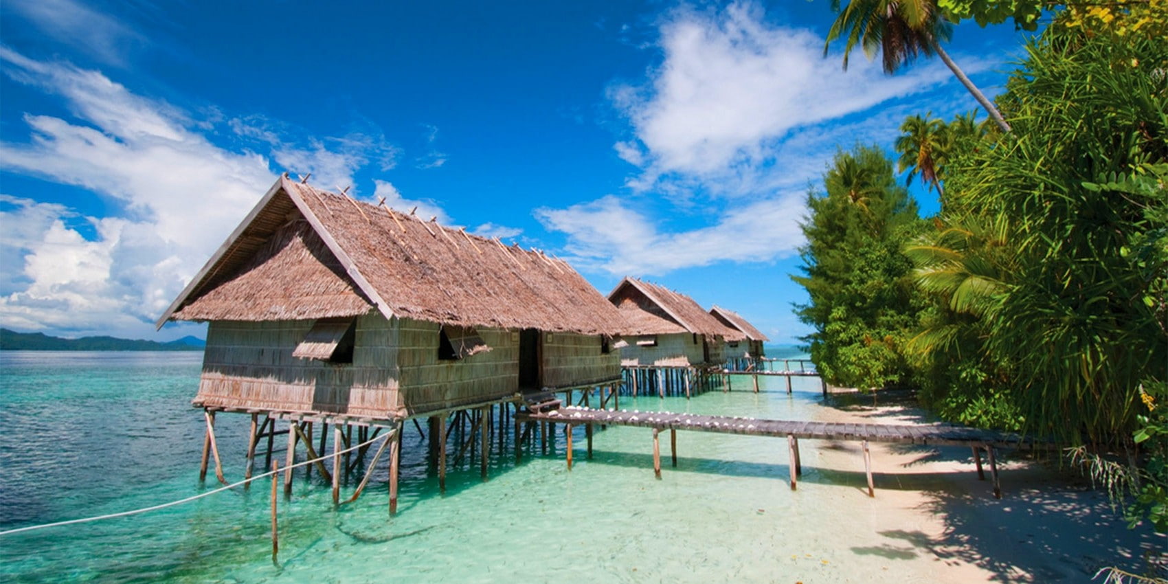nature water cabin scuba diving beach palm trees landscape 2k