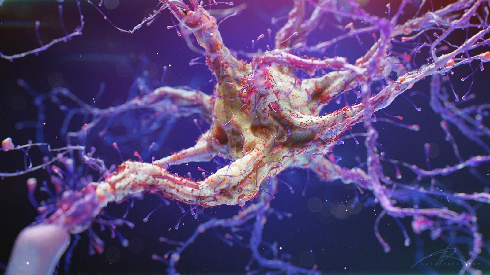 neuron synapse science macro organic microworld human 2k