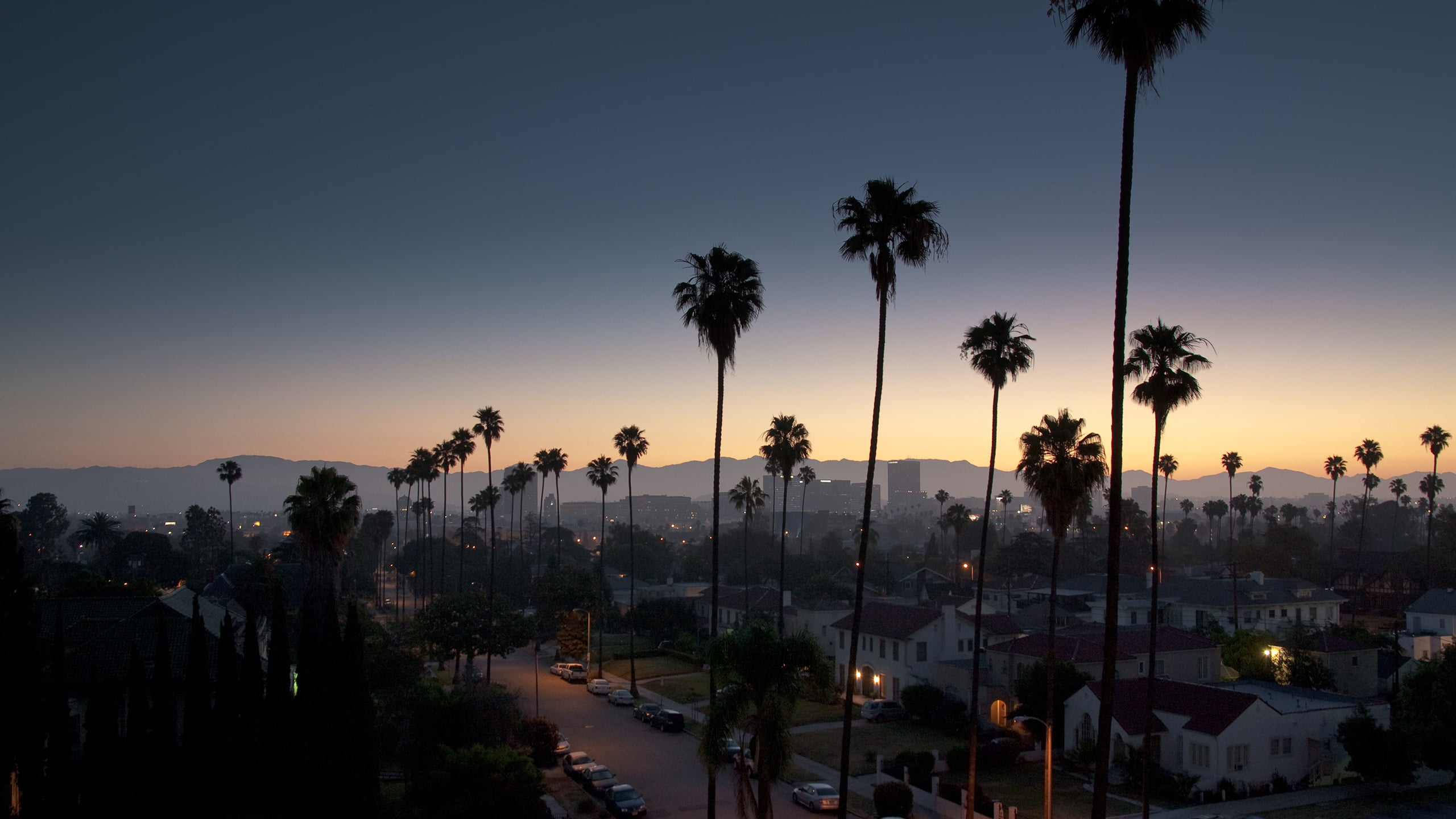 silhouette of palm tress coconut trees and houses during nighttime 2k