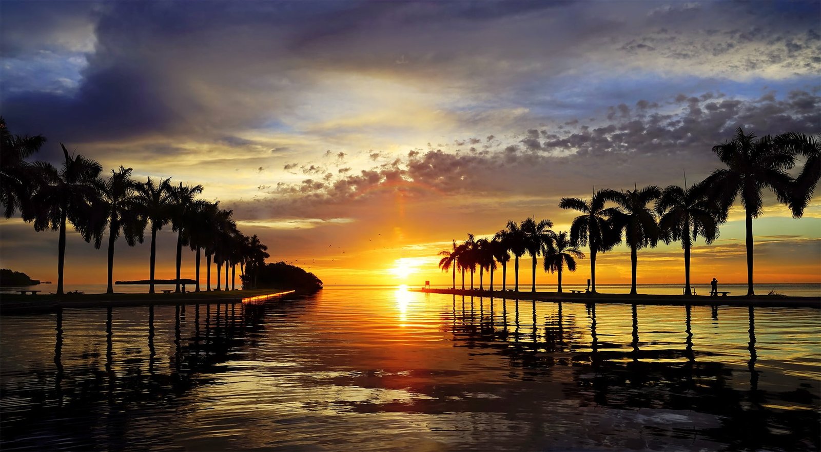 sunset beach sky sunlight palm trees clouds water beauty in nature 2k