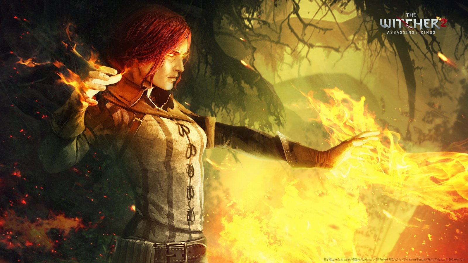 The Witcher 2 Assassins of Kings Triss Merigold burning one person 2k