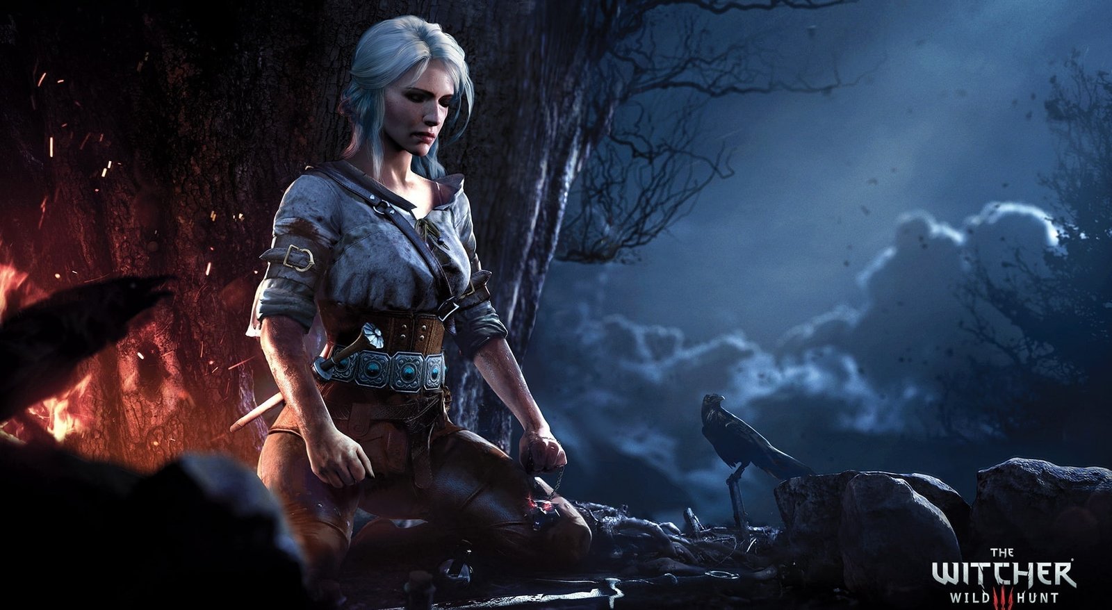 The Witcher 3 Wild Hunt Ciri digital wallpaper 2k