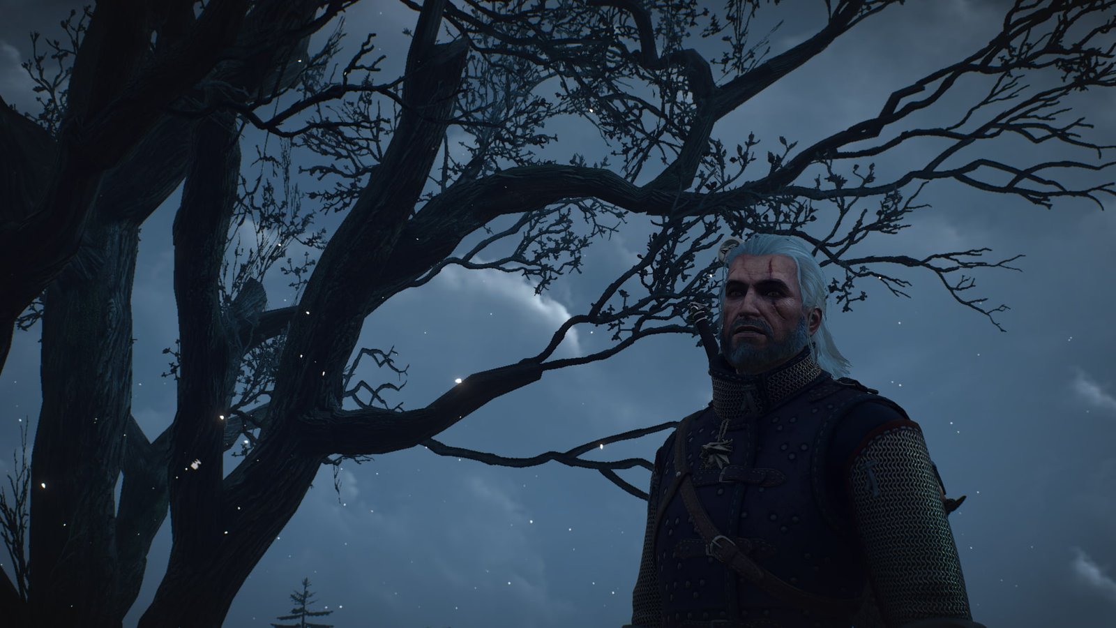 The Witcher 3 Wild Hunt video games Skellige Geralt of Rivia 2k