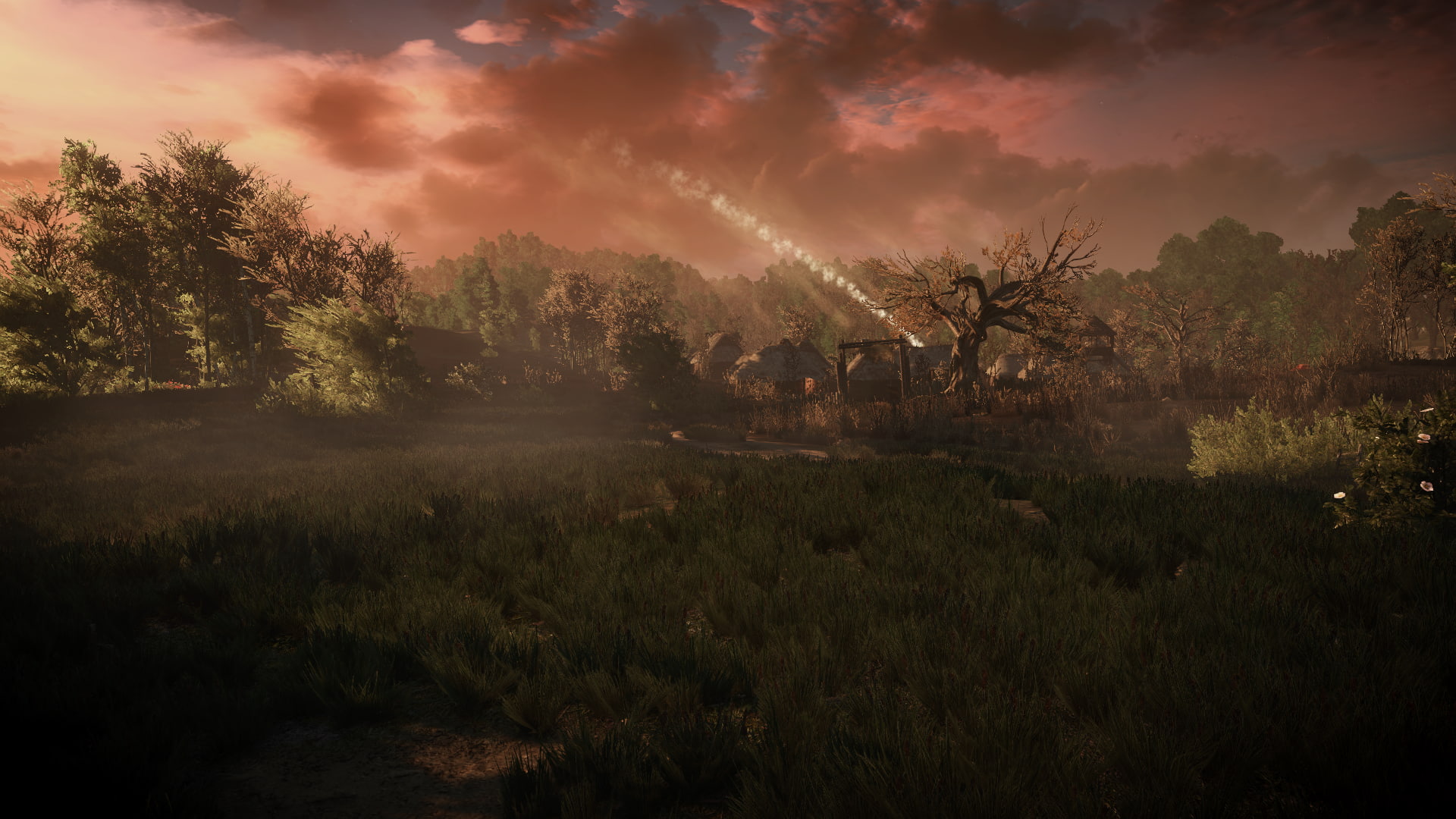 The Witcher 3 Wild Hunt video games 2k