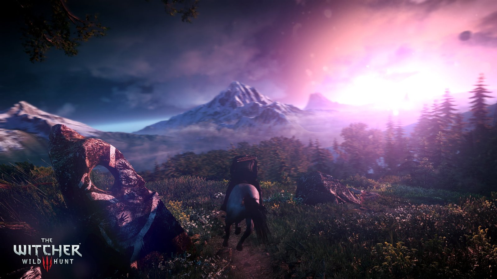 The Witcher Wild Hunt screengrab game application 2k