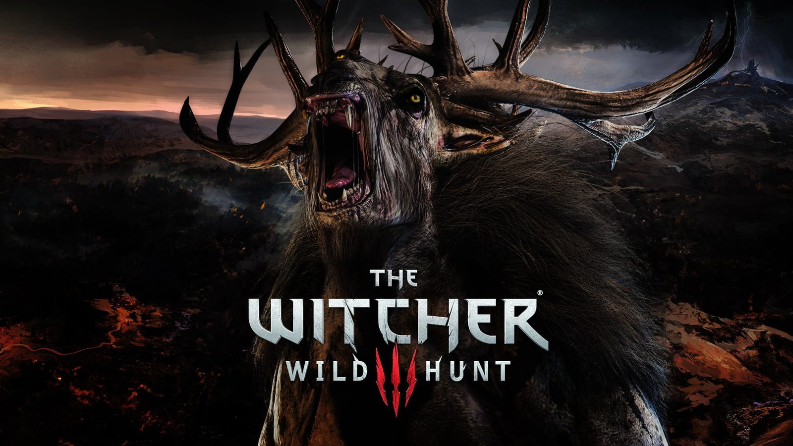 The Witcher 3 Wild Hunt mammal one animal wildlife 2k