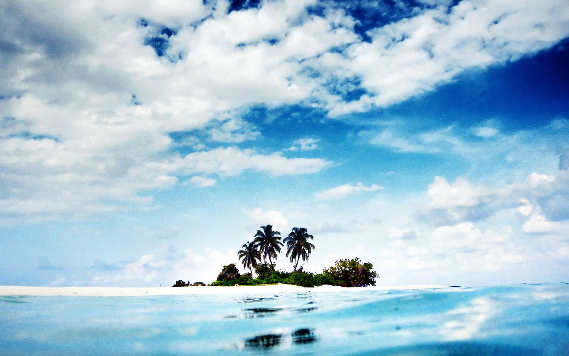 three coconut trees beach sand palm tropical sky clouds 2k