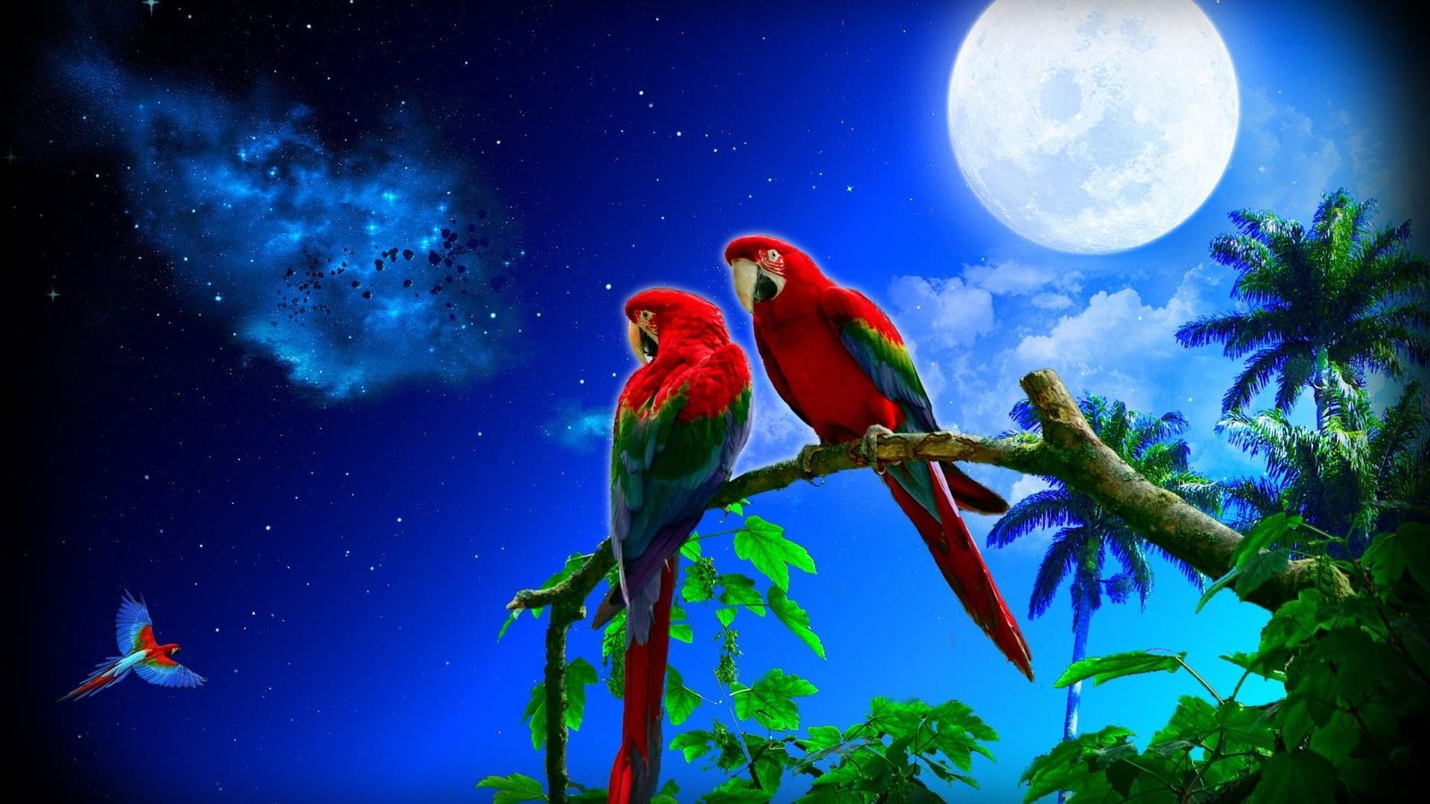 tree couple sky nature stars starry night moonlight 2k
