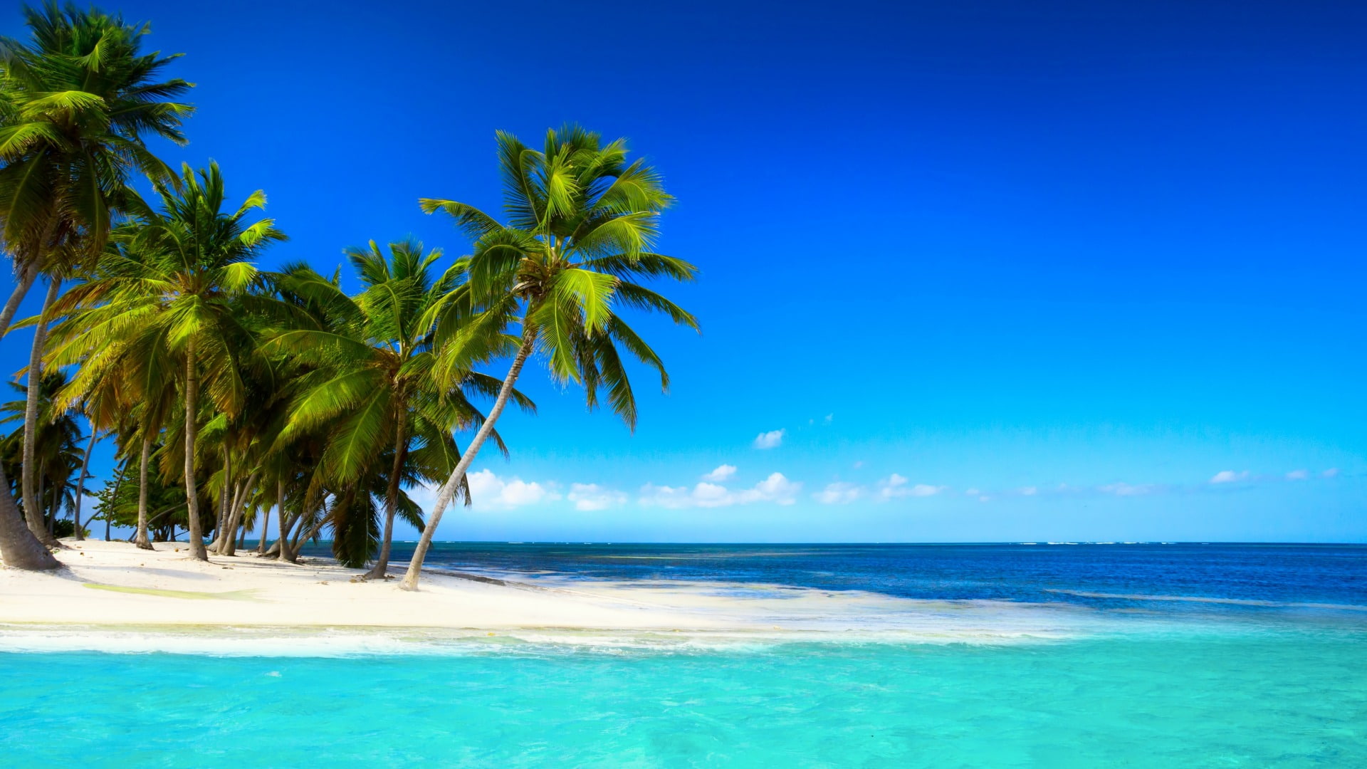 Tropical beach with palm trees beautiful sky blue sea 2k