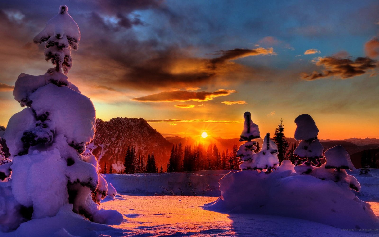 Winter Sunset snow trees background scenery 2k