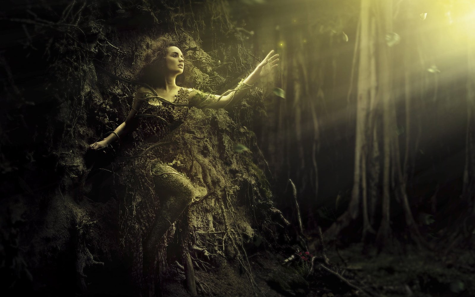 women's black dress forest digital art artwork fantasy 2k