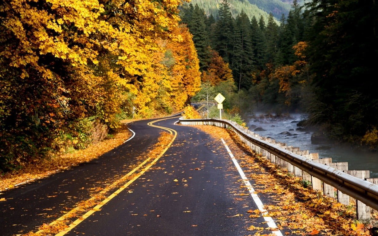 gray concrete road photography nature landscape river forest