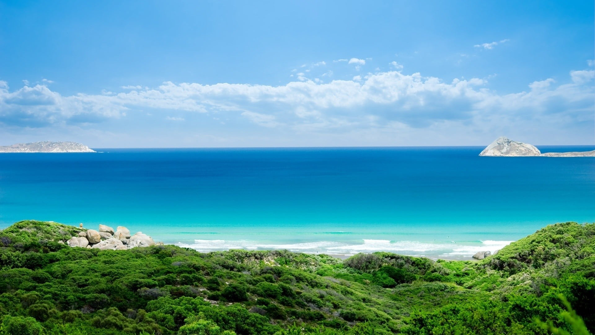 green grasses and body of water sea nature beach sky horizon 2k