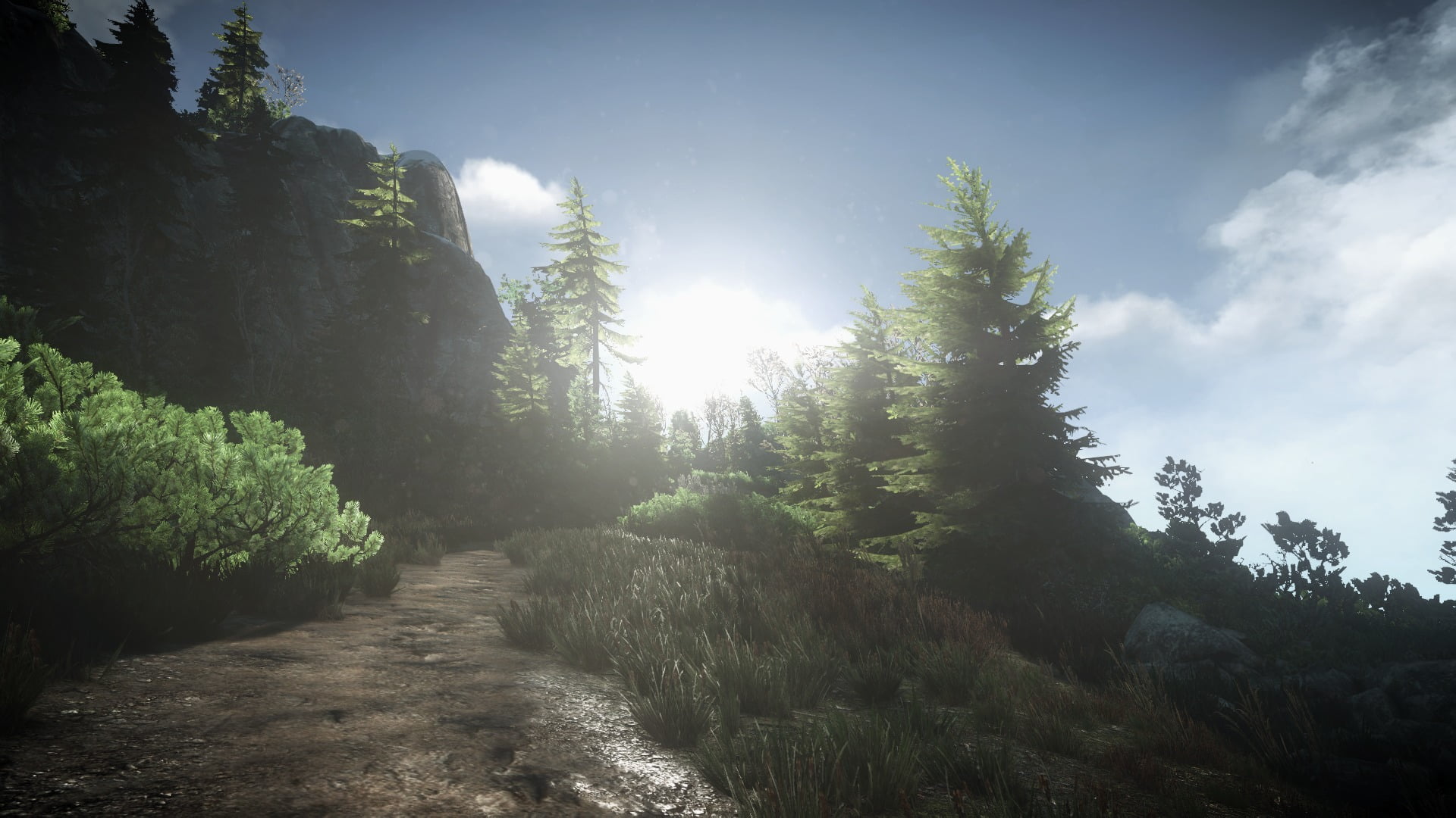 green leaf trees and The Witcher 3 Wild Hunt video games 2k