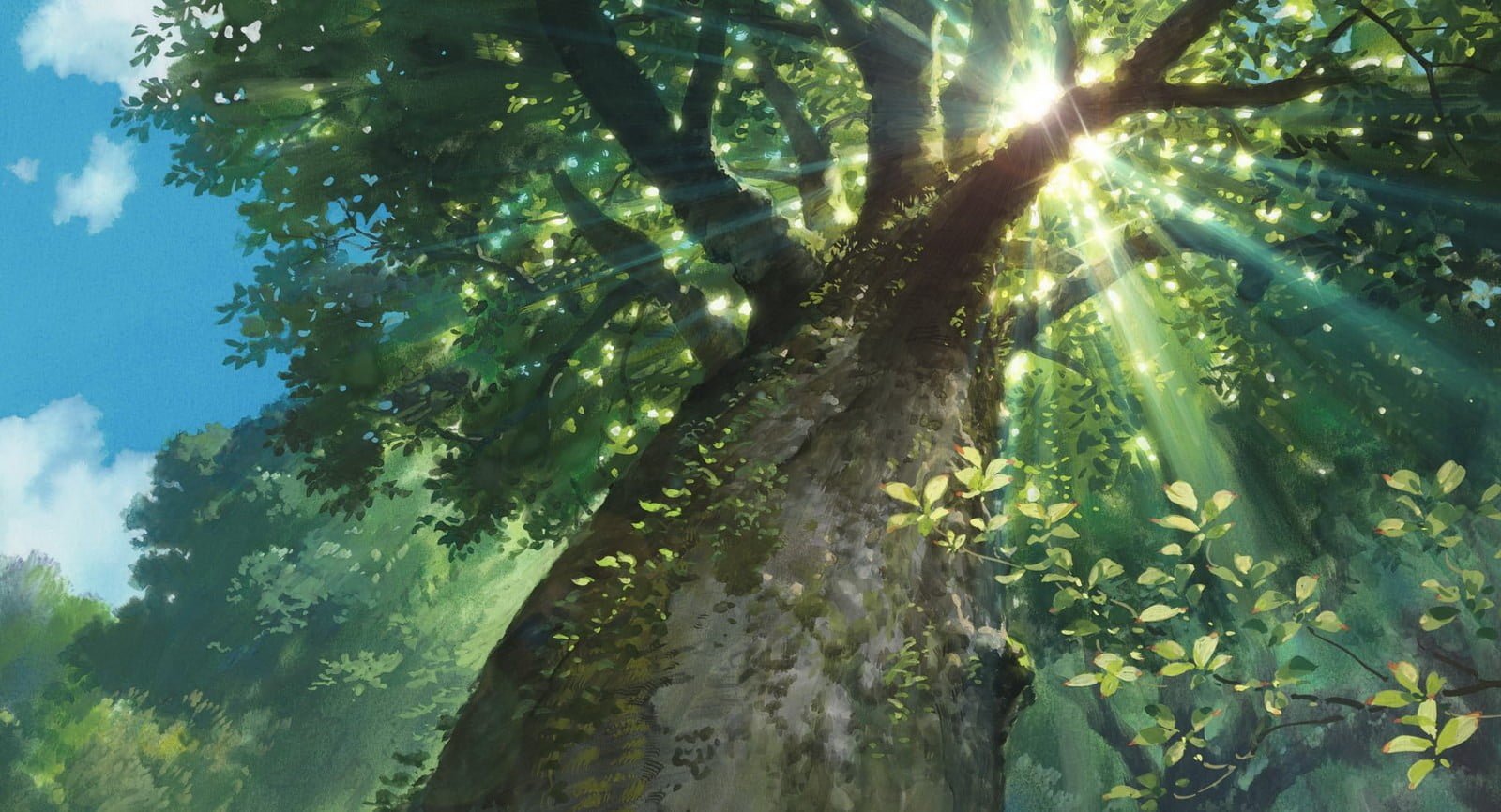 green leafed tree nature sunlight trees sun rays worm's eye view 2k