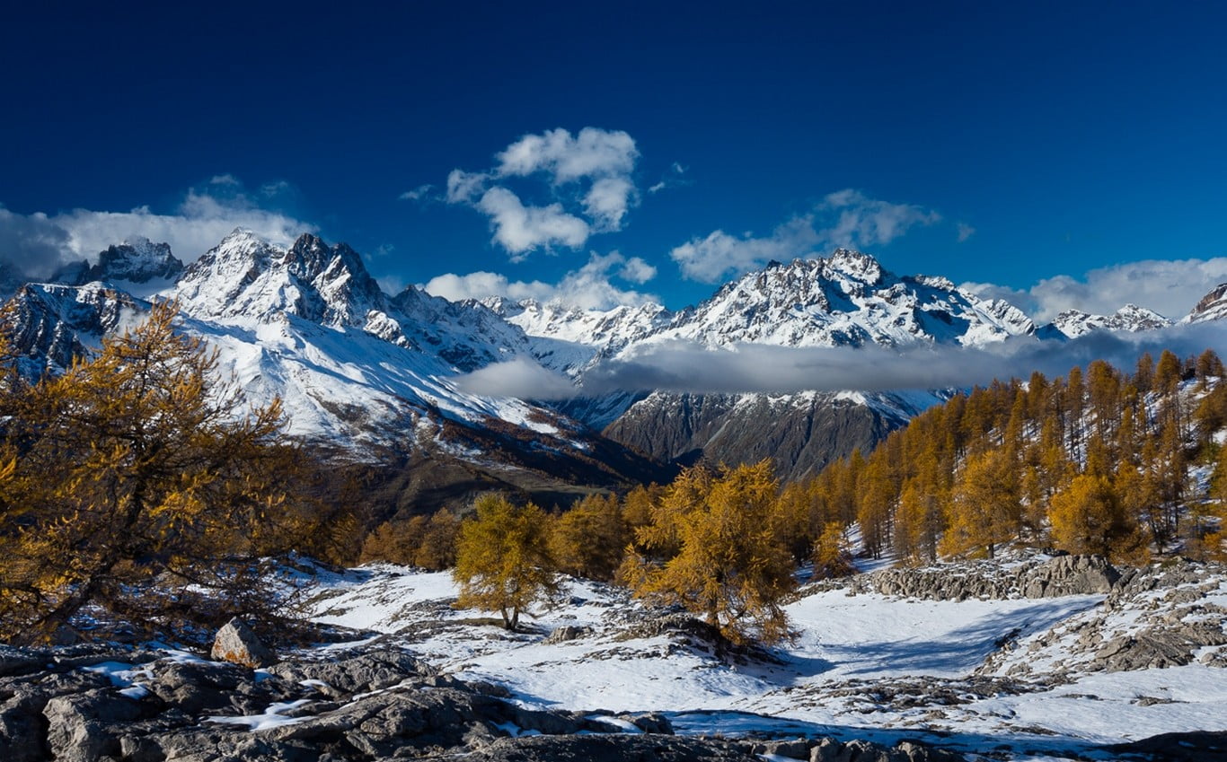 green leafed trees nature landscape snow winter mountains