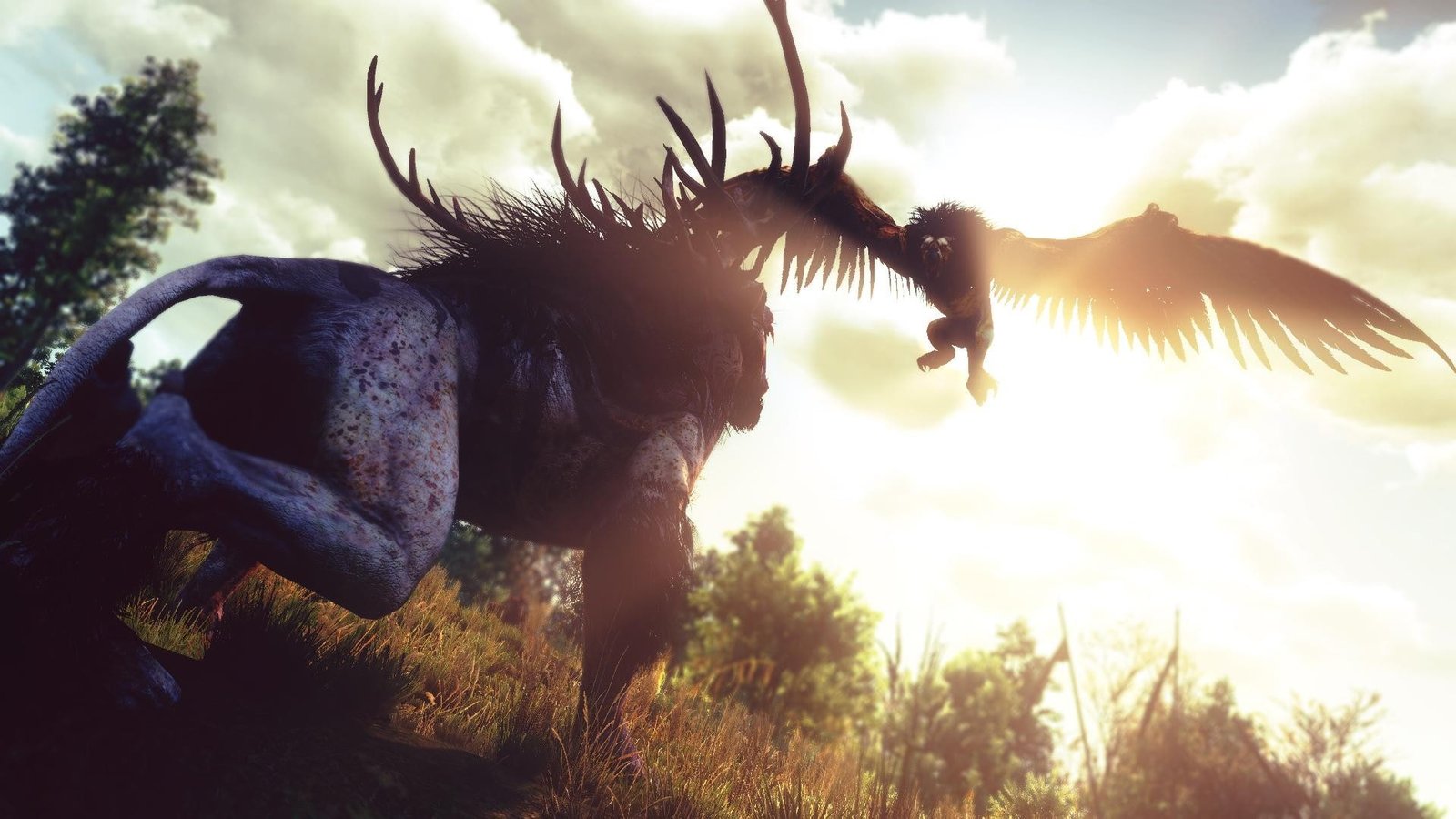 Griffins The Witcher 3 Wild Hunt sky one animal cloud 2k