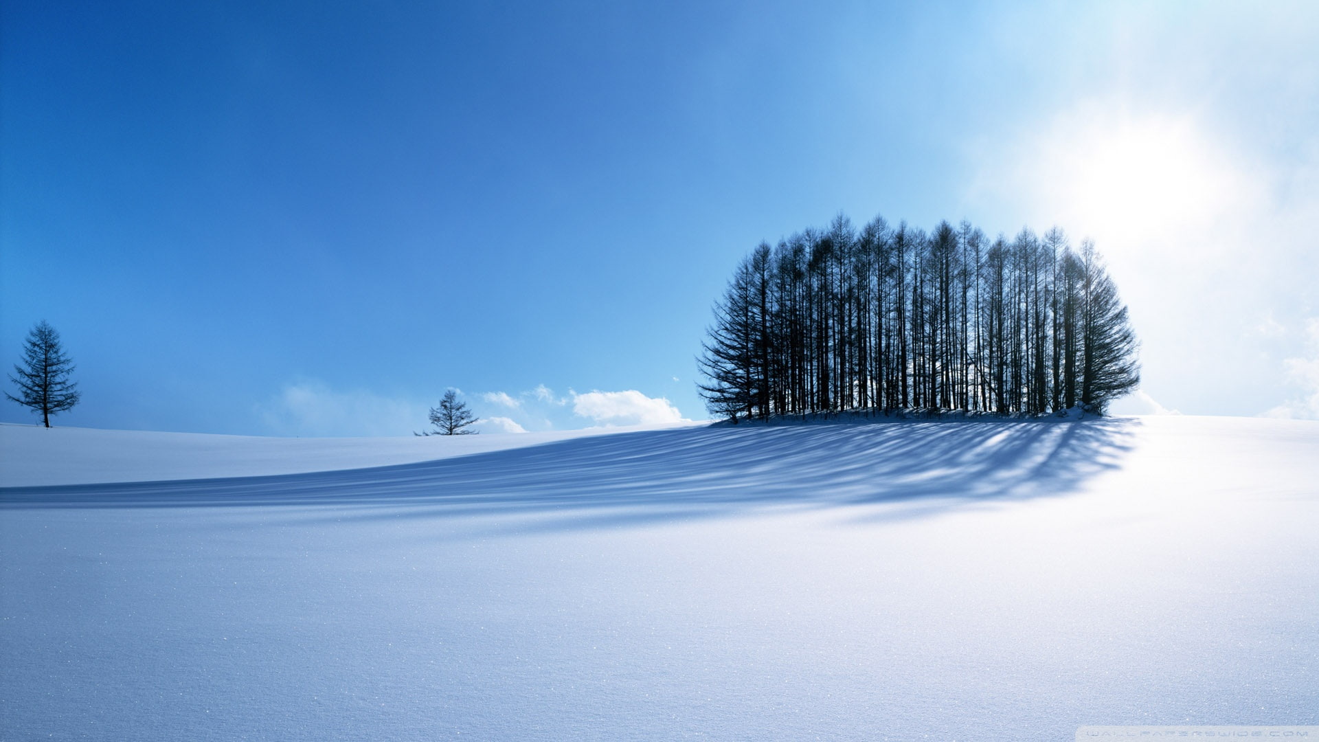 landscapes winter snow Nature Winter HD Art 2k