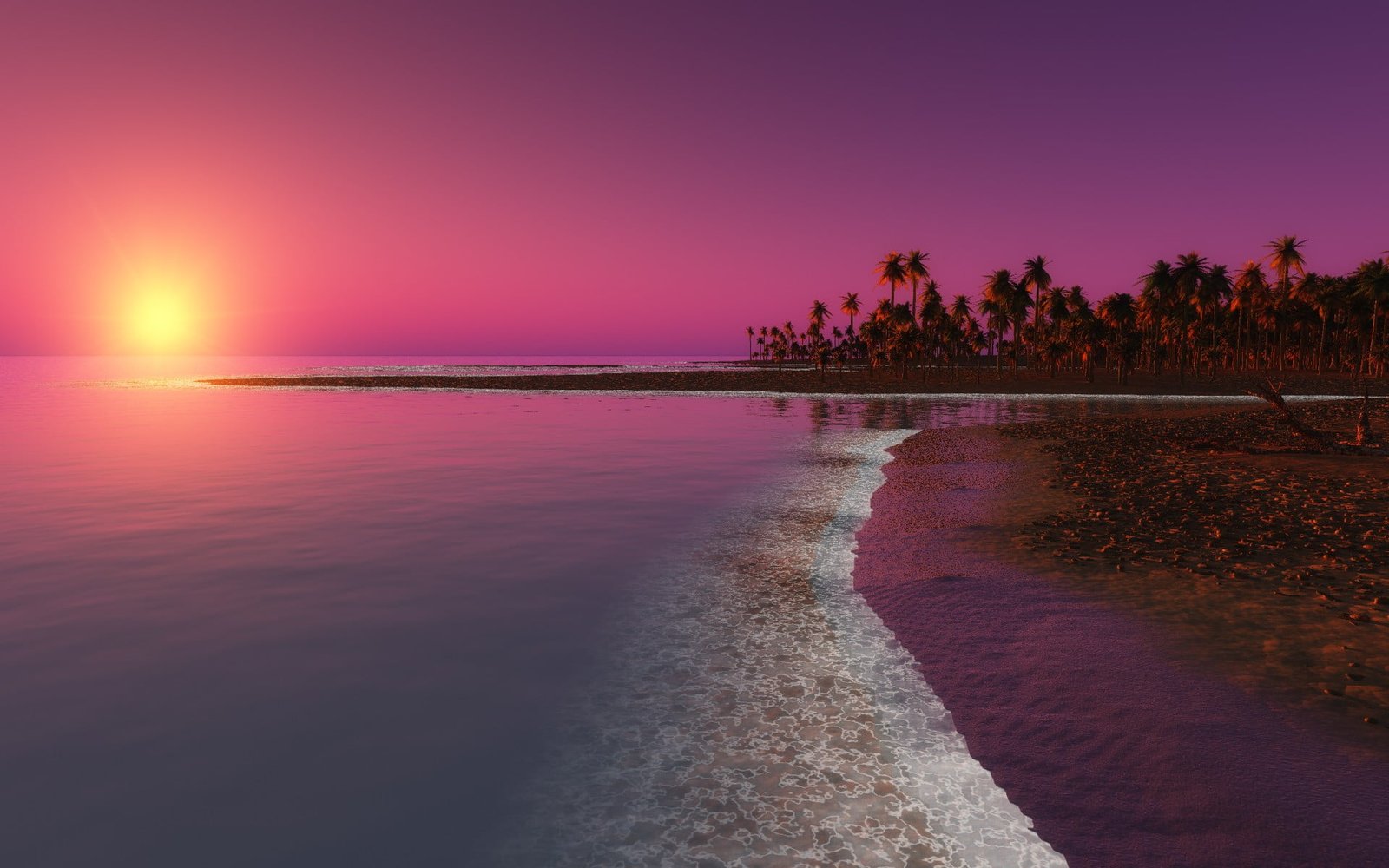 large body of water nature palm trees sea beach island sky 2k