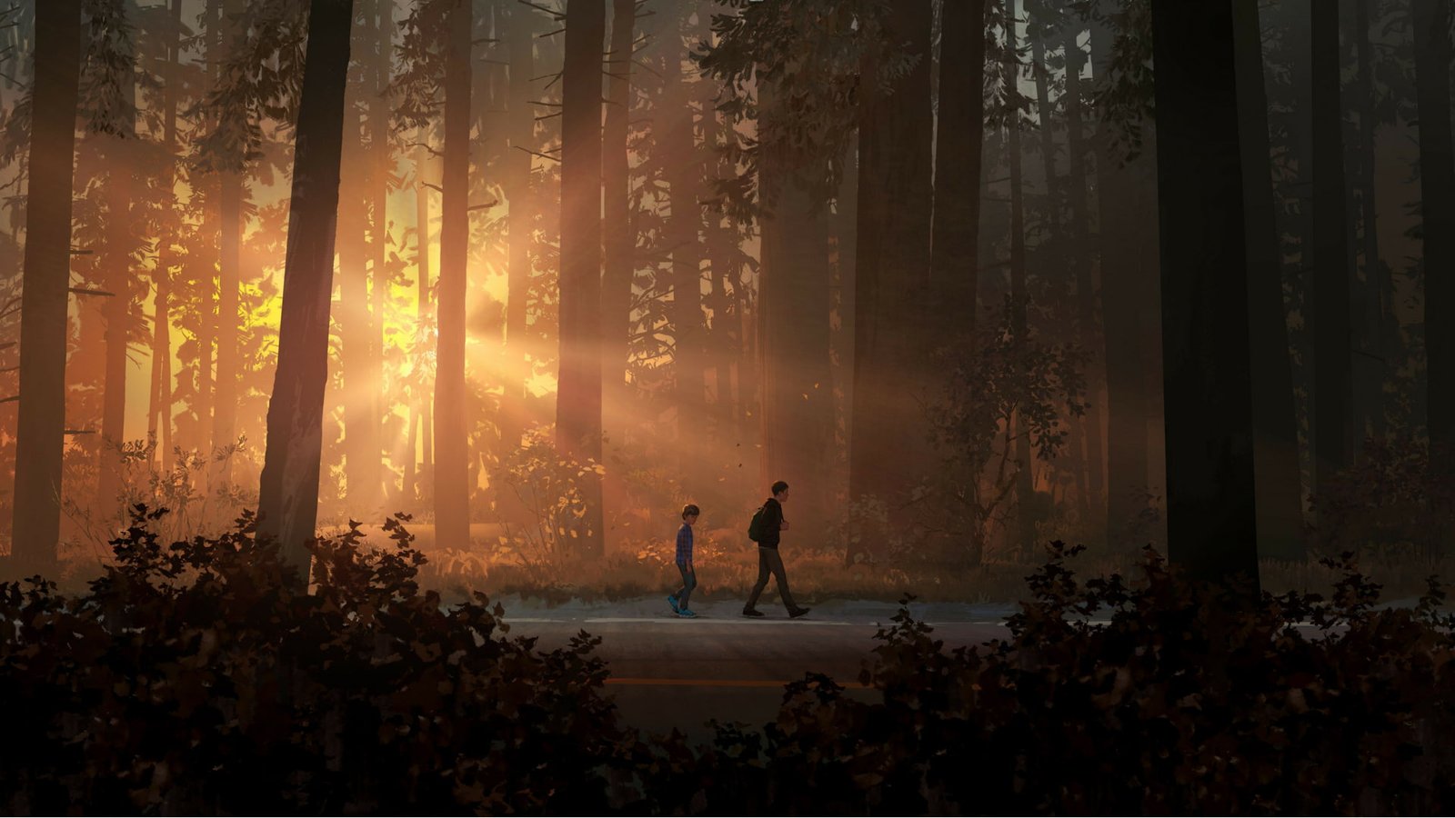 life is strange 2 games pc ps xbox hd 2k