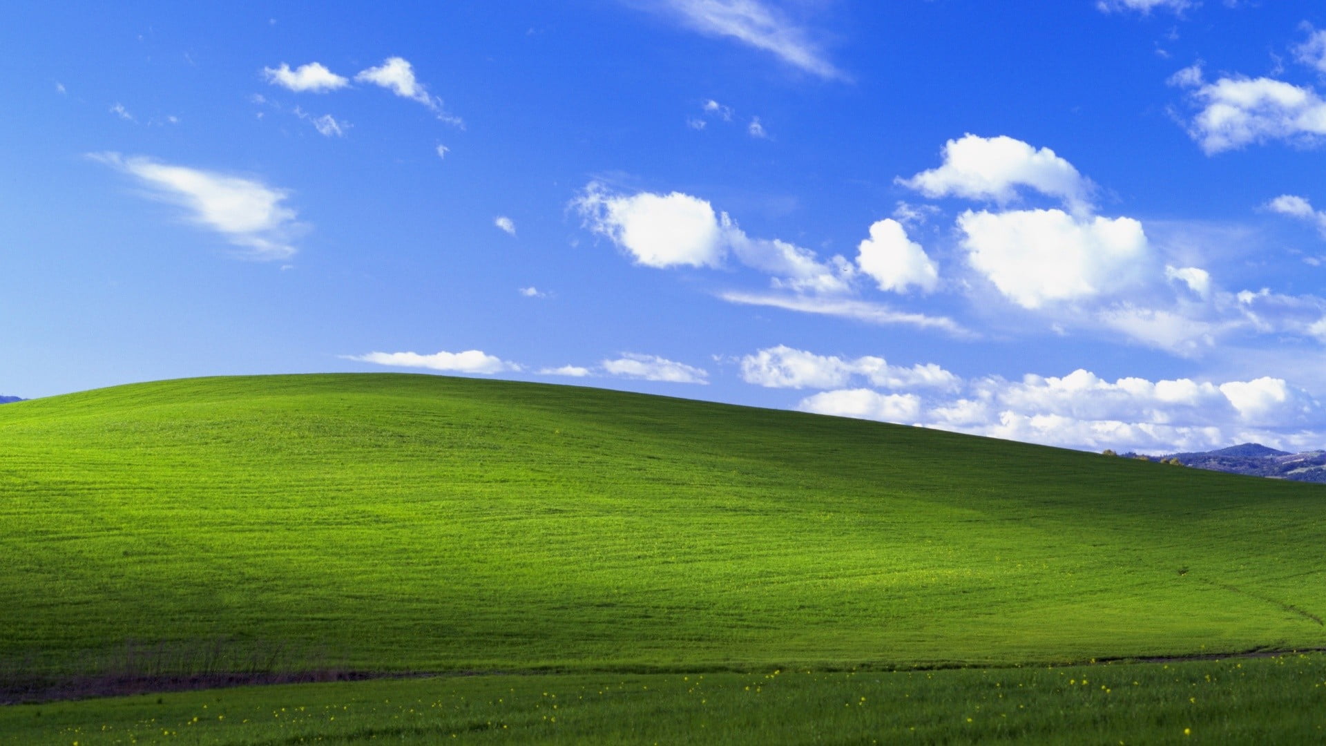 Microsoft Windows wallpaper XP garden landscape nostalgia 2k