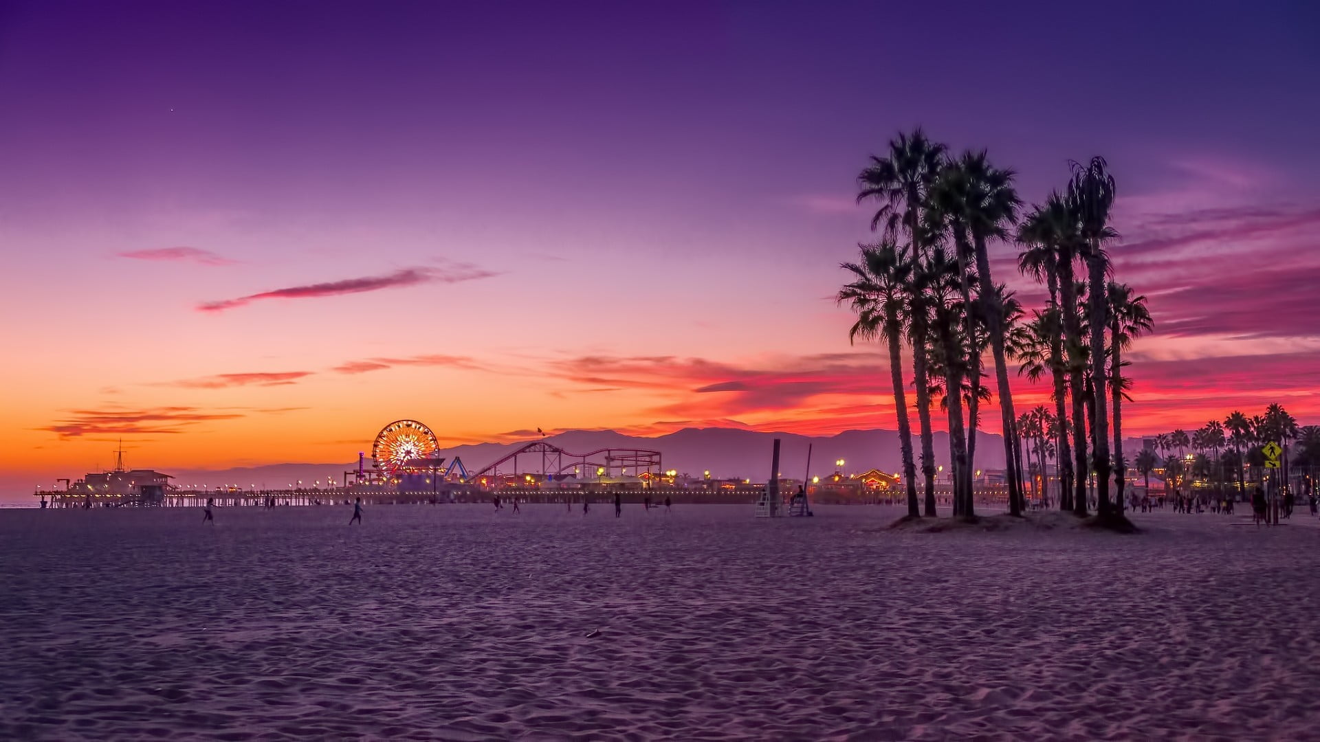 palm trees digital wallpaper beach Los Angeles sunset sky 2k