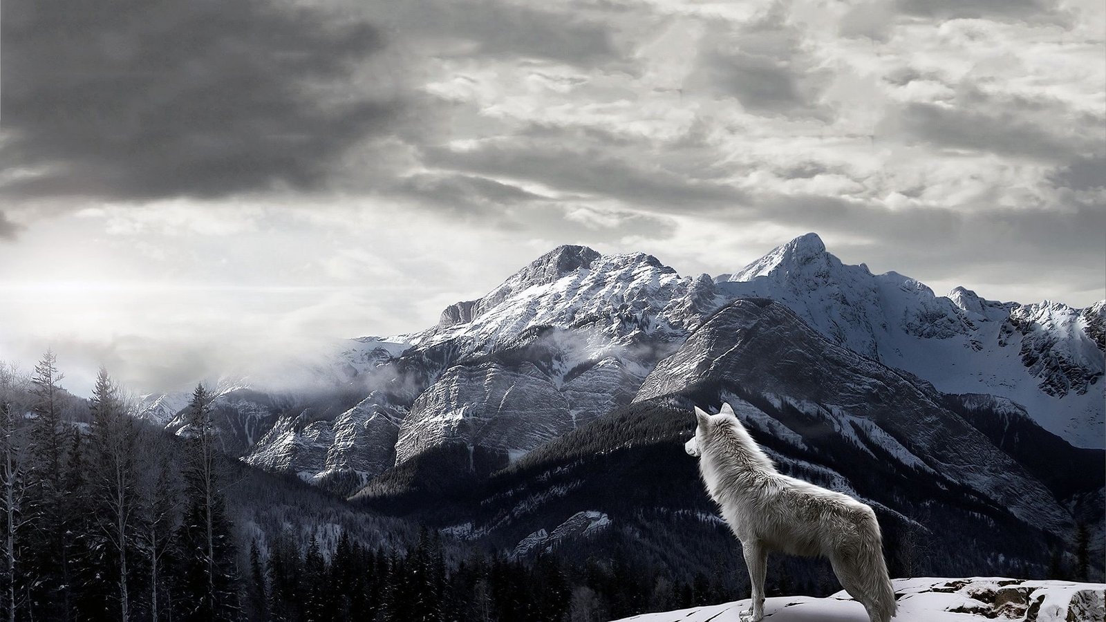 animals mountain snow ice landscape sky mountains glacier 2k