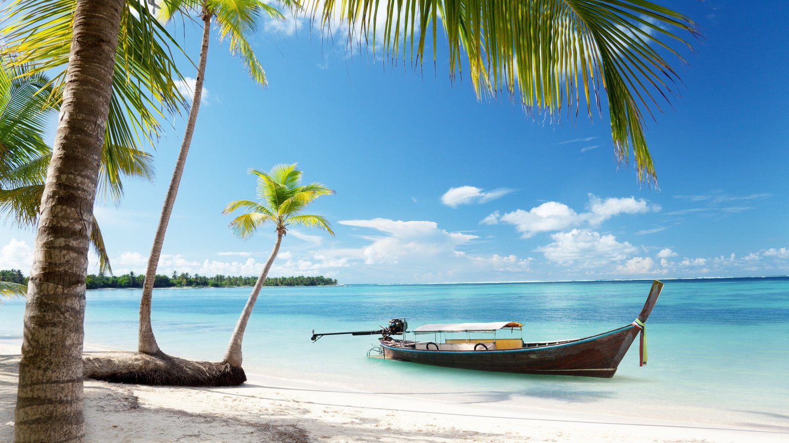brown boat near shoreline landscape palm trees sea beach 2k