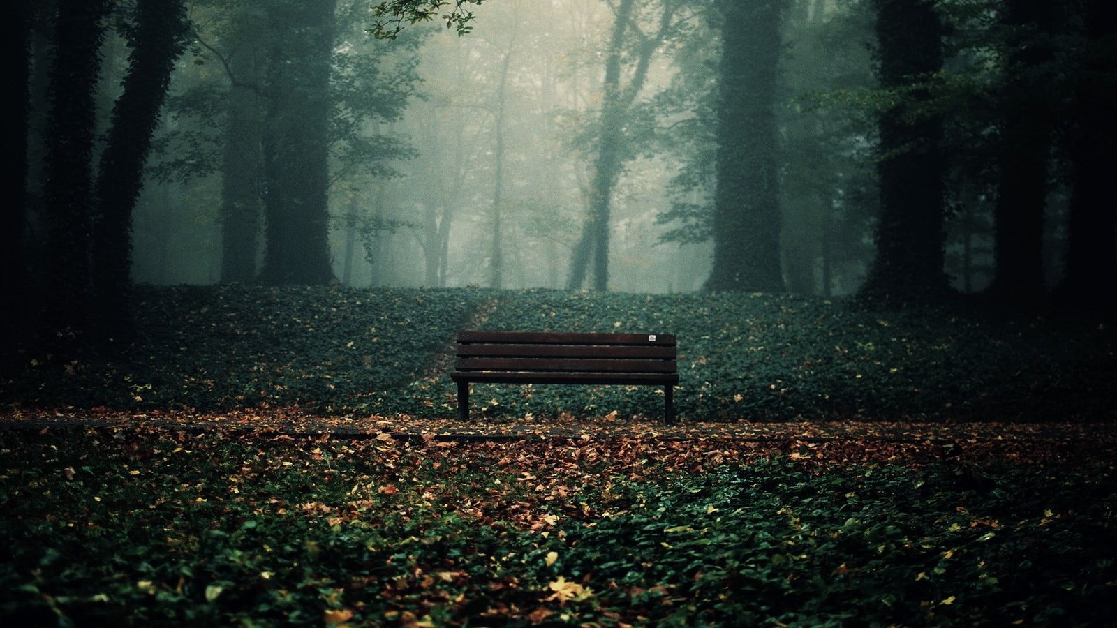 brown wooden slatted bench forest leaves trees fall seat 2k