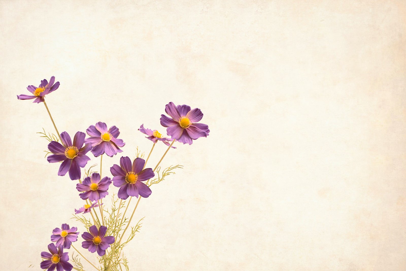 flower background with copyspace floral border garden frame 2k