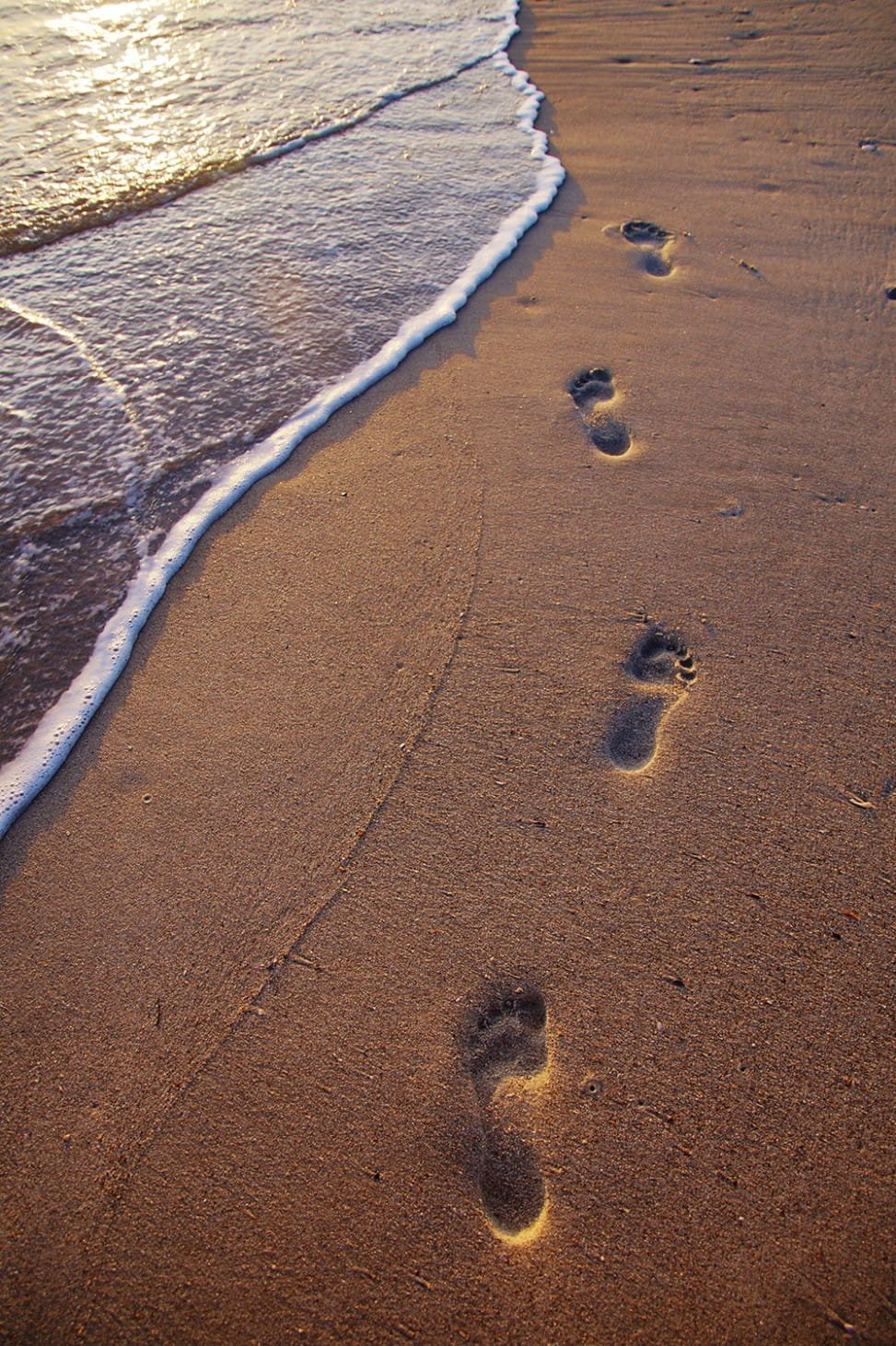 footprints in sand near seawave beach brown foots purple