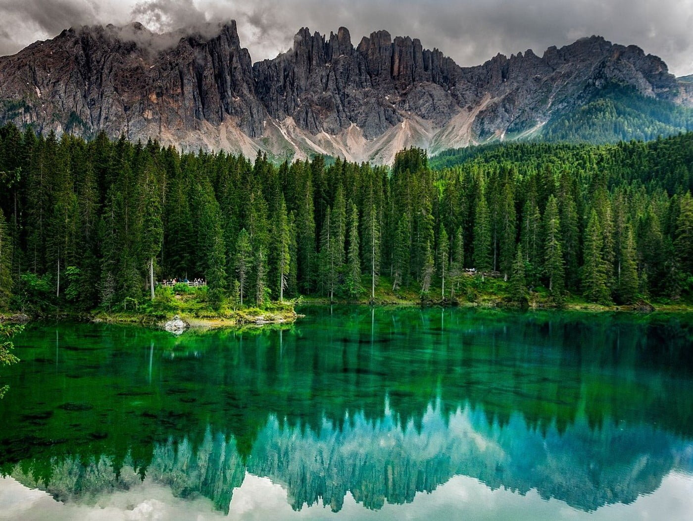 green leafed trees nature landscape photography lake calm waters
