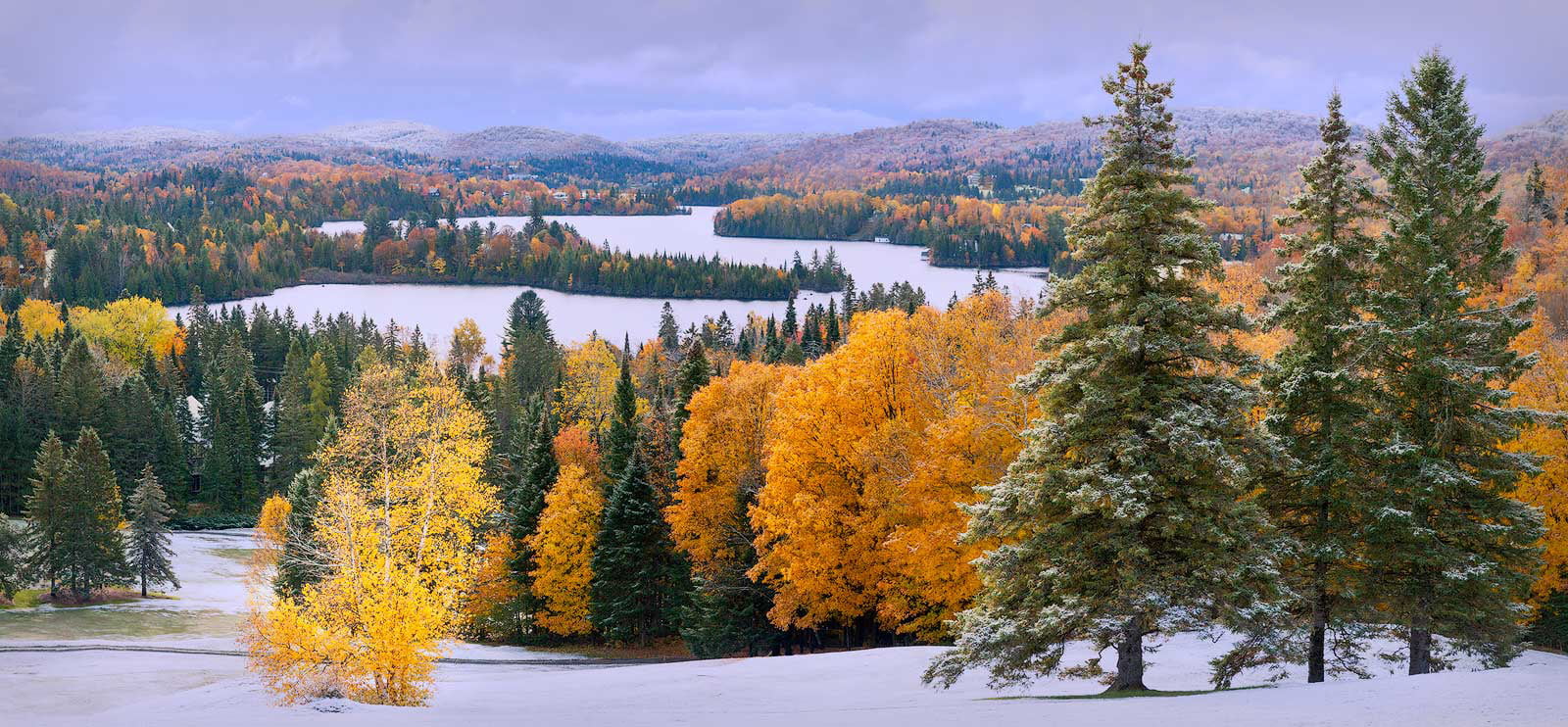 landscape photo of brown and green leaf trees First Snow Canada 2k