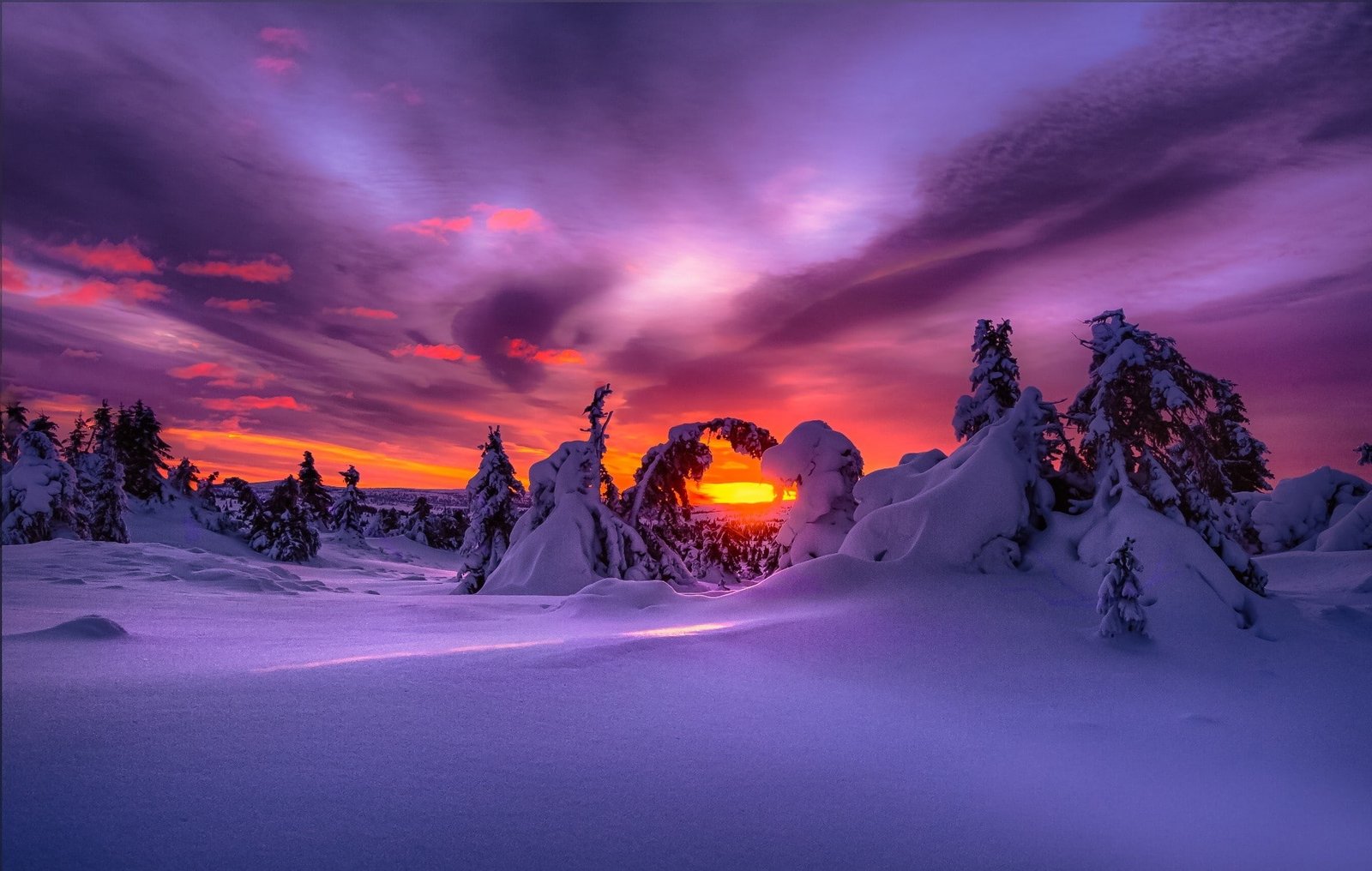landscape nature purple sky winter snow sunset 2k