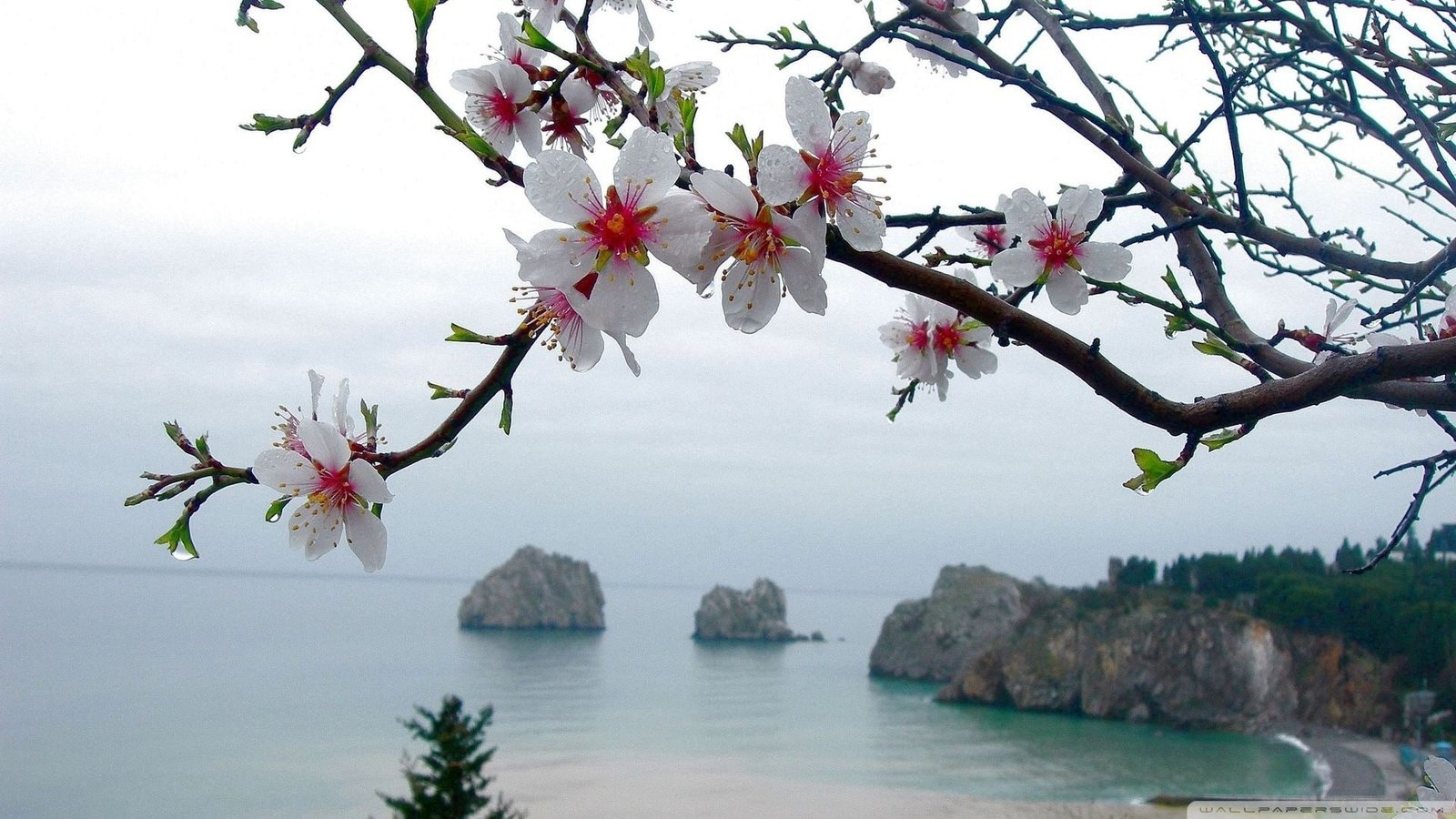 landscapes nature spring season Nature Seasons HD Art 2k
