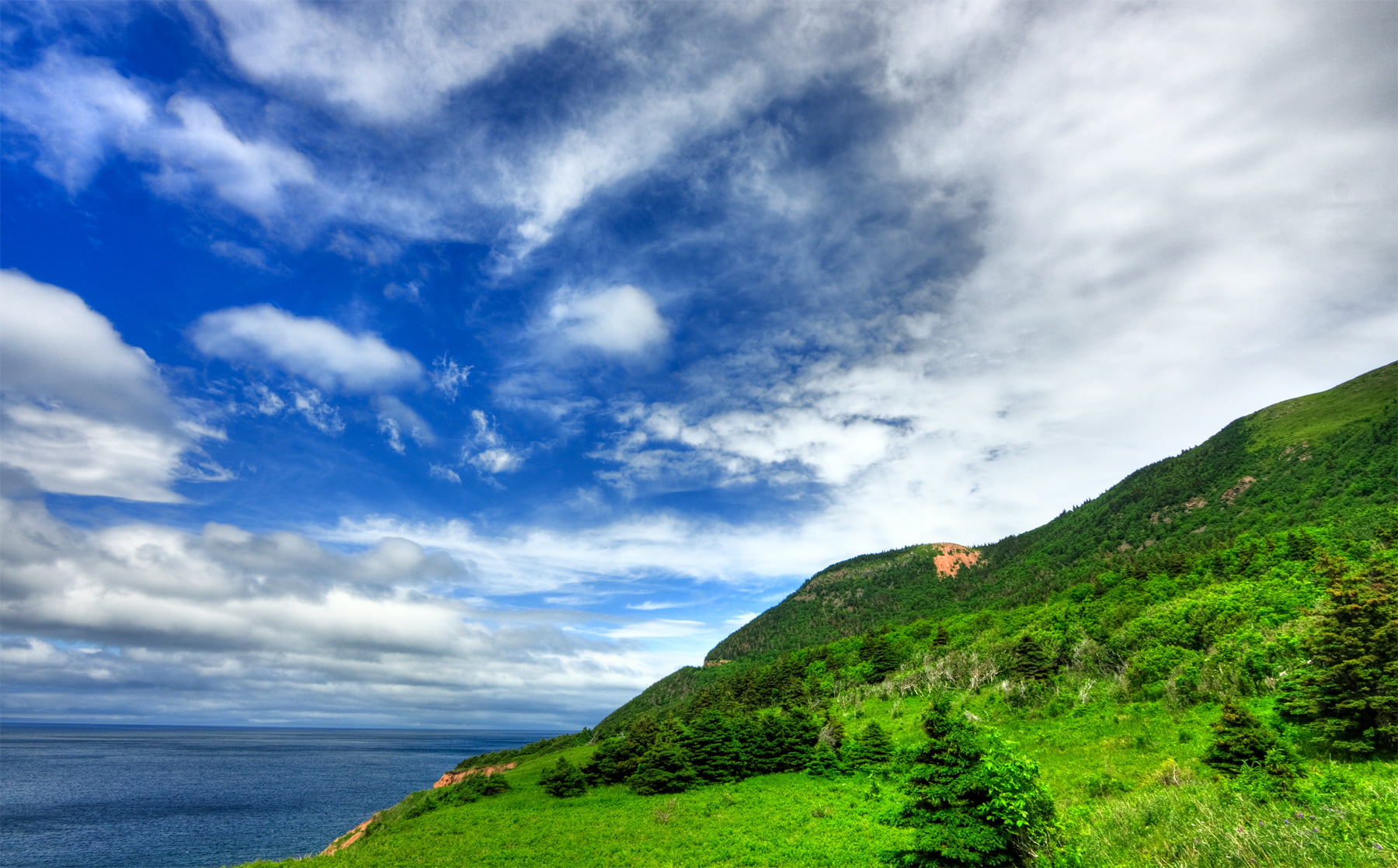 mountains covered with grass and ocean under blue cloudy sky during daytime 2k