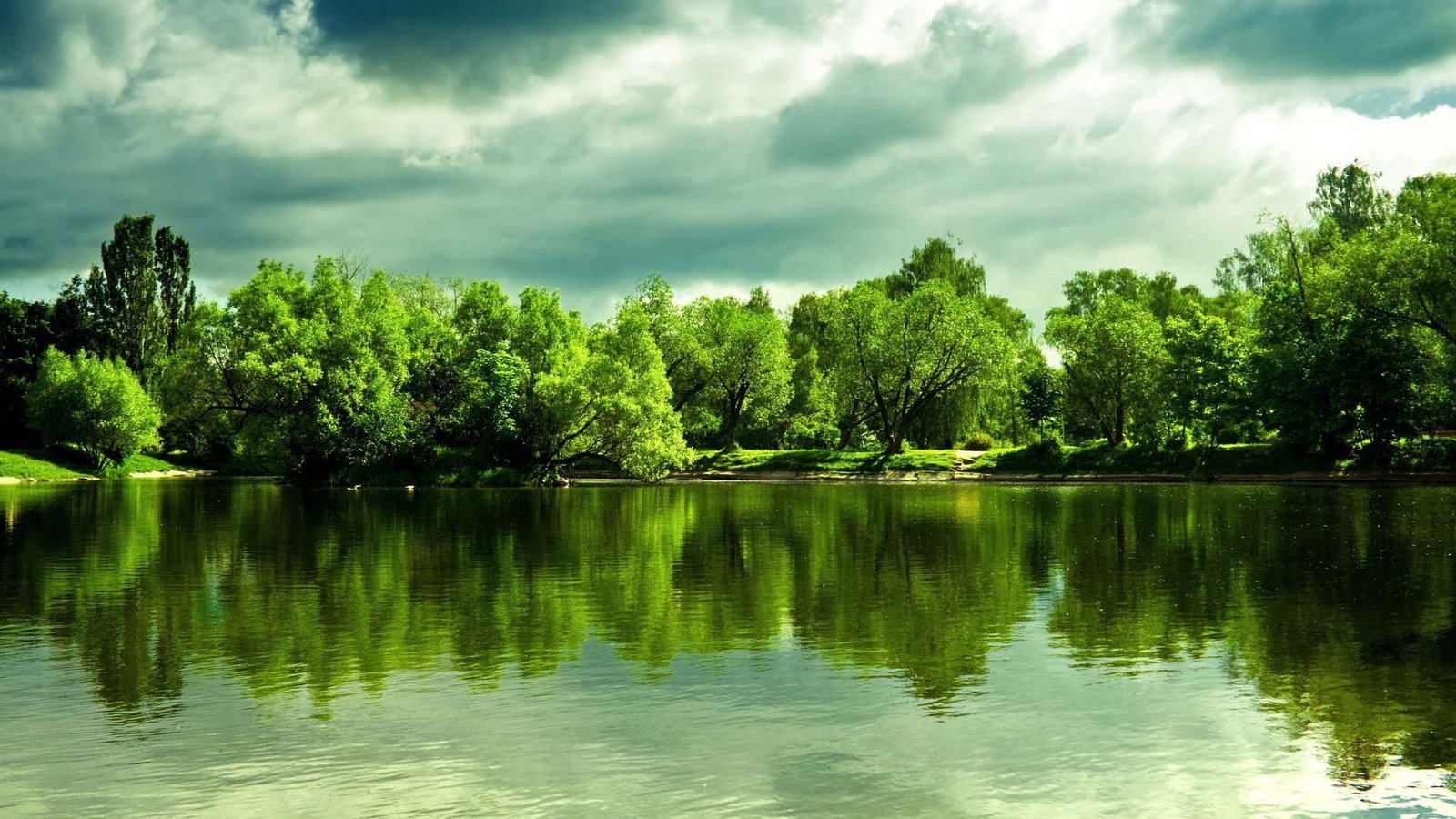 nature landscape tree sky forest grass river park summer 2k