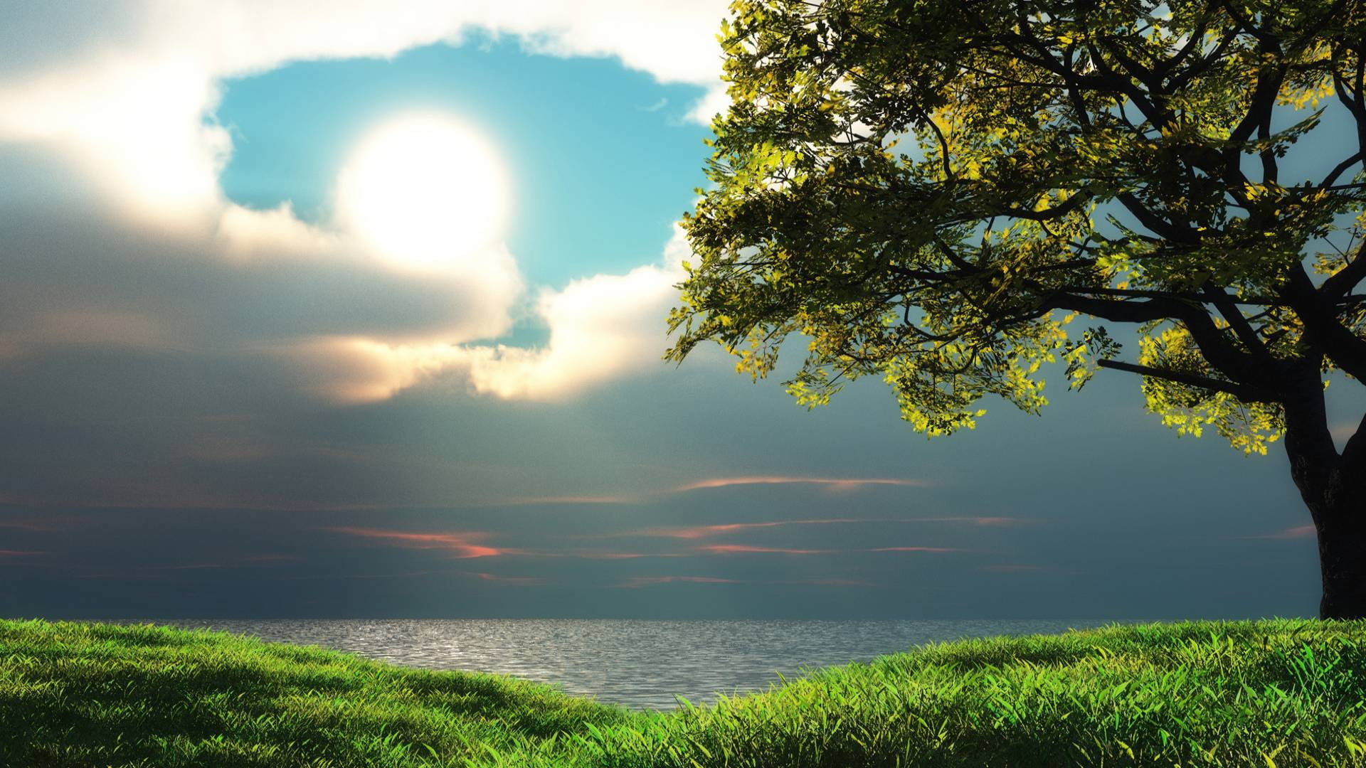 nature sun sunset sky sunrise atmosphere star silhouette 2k