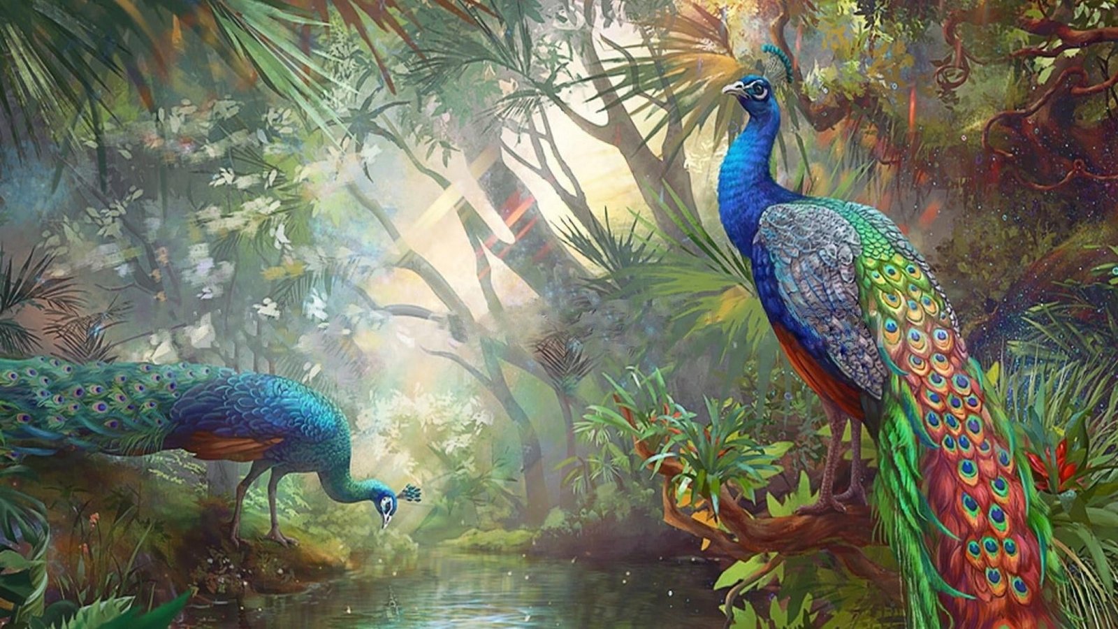 peafowl peacock bird birds painting art wildlife 2k