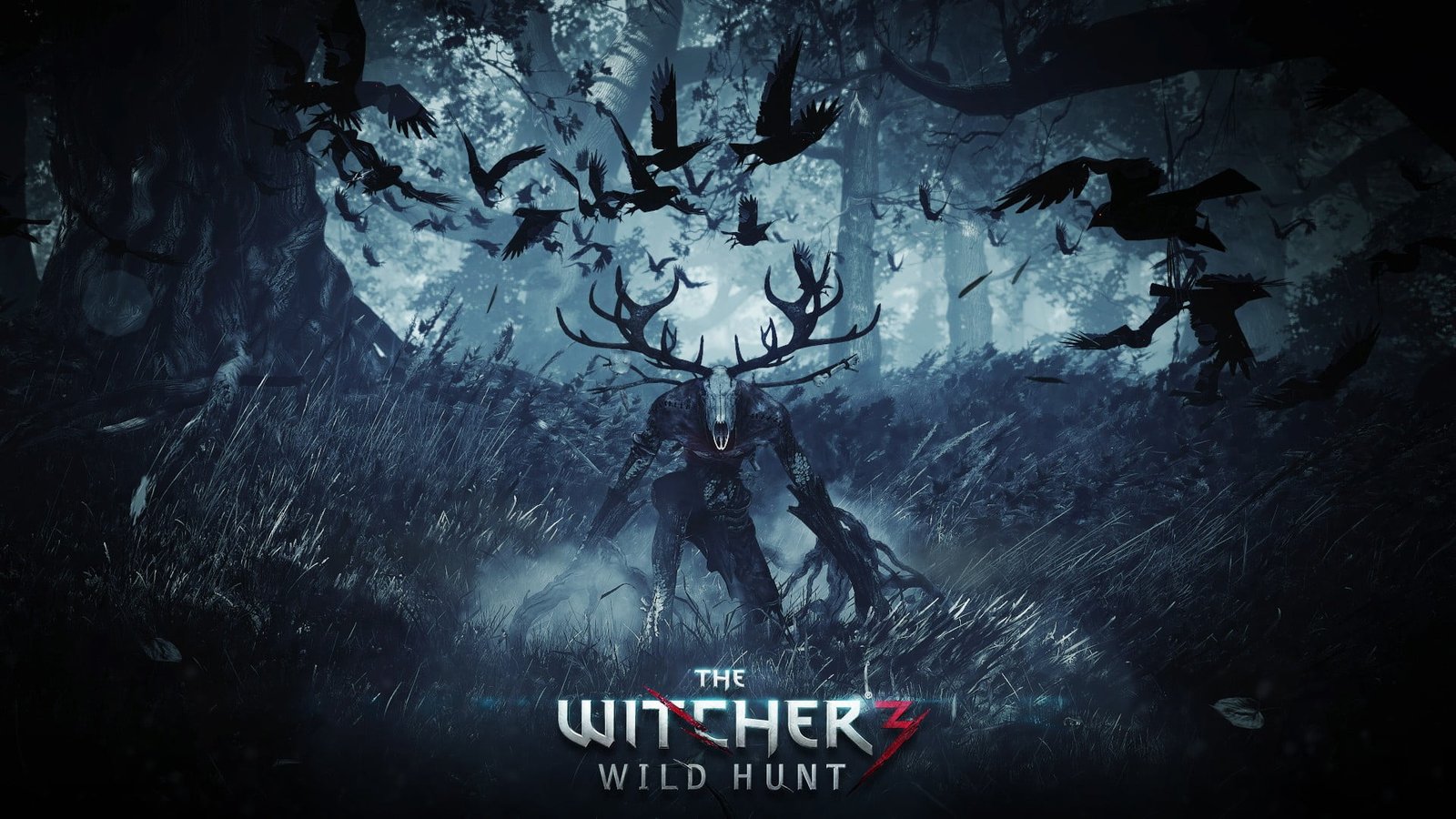 The Witcher 3 Wild hunt wallpaper video games Hunt 2k