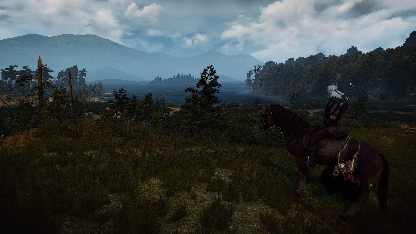 The Witcher 3 Wild Hunt video games 2k