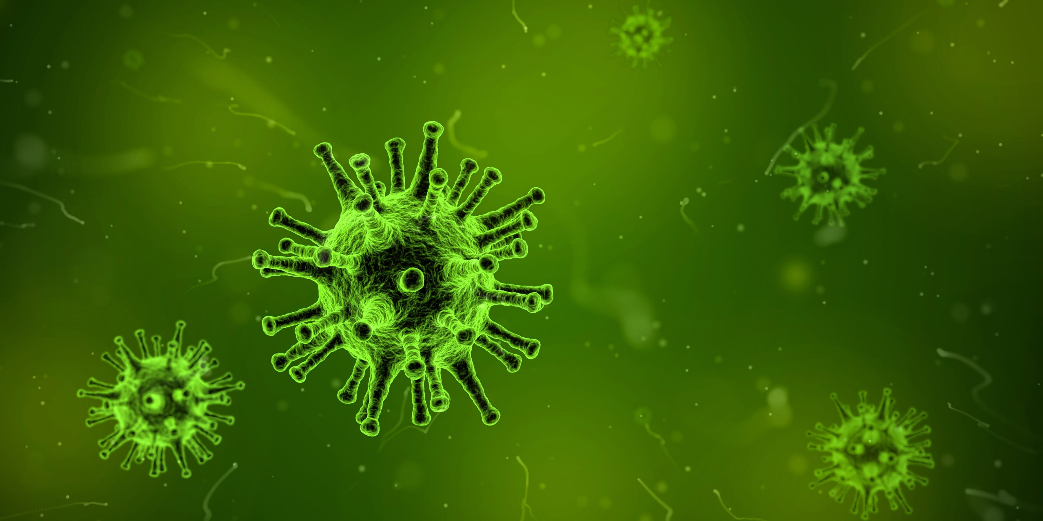 Virus Cells in green dye illness microscopic public domain 2k 4k