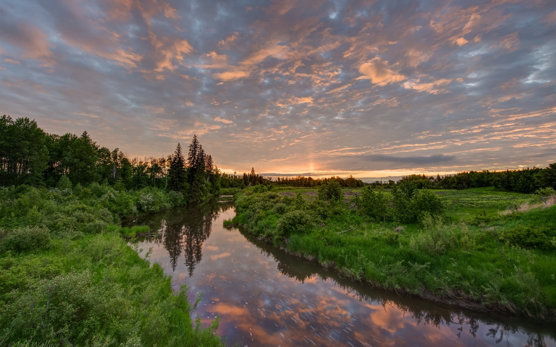 Beautiful nature scenery river grass trees sunset clouds 2k