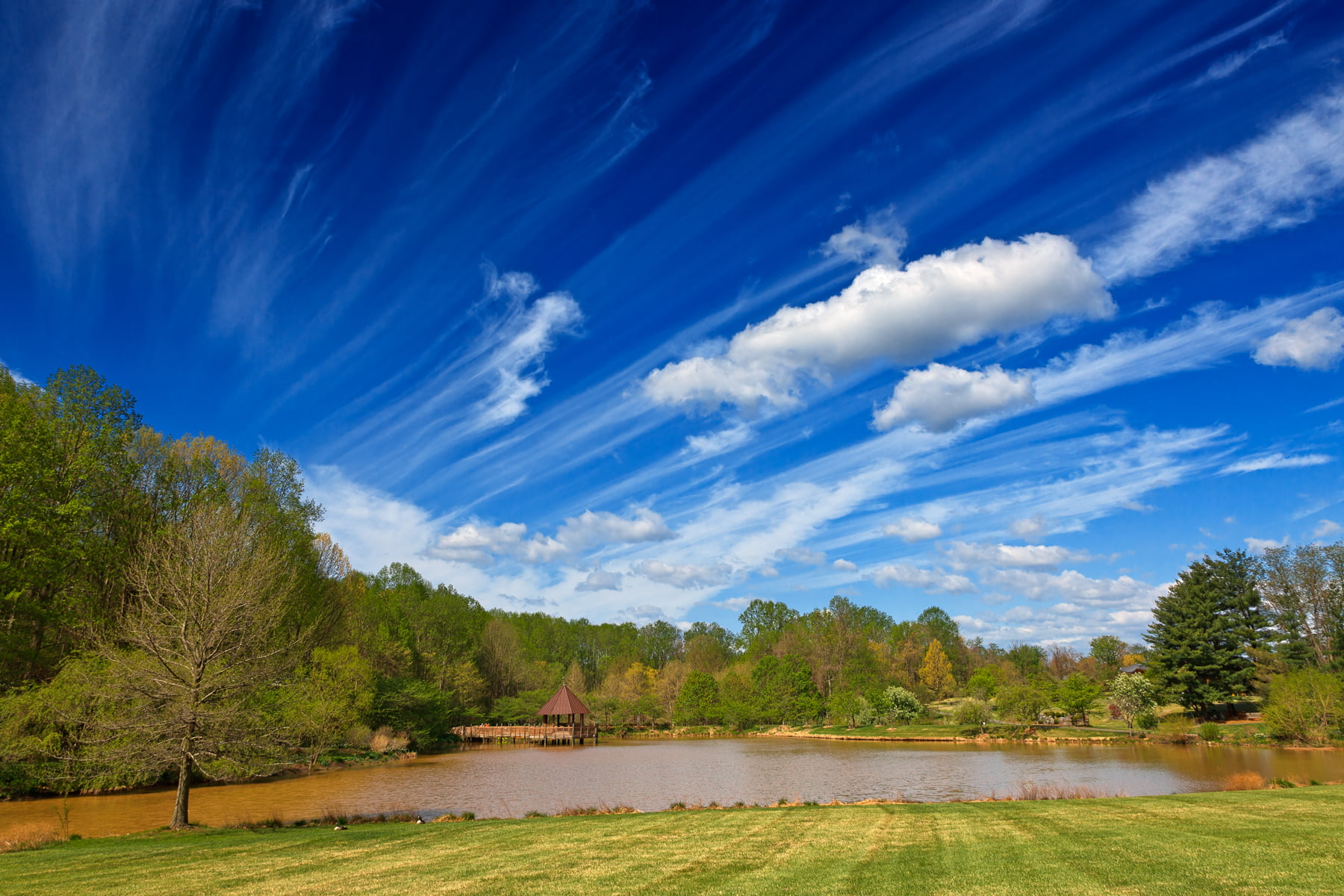 body of water surrounded by trees under blue sky during daytime meadowlark 2k