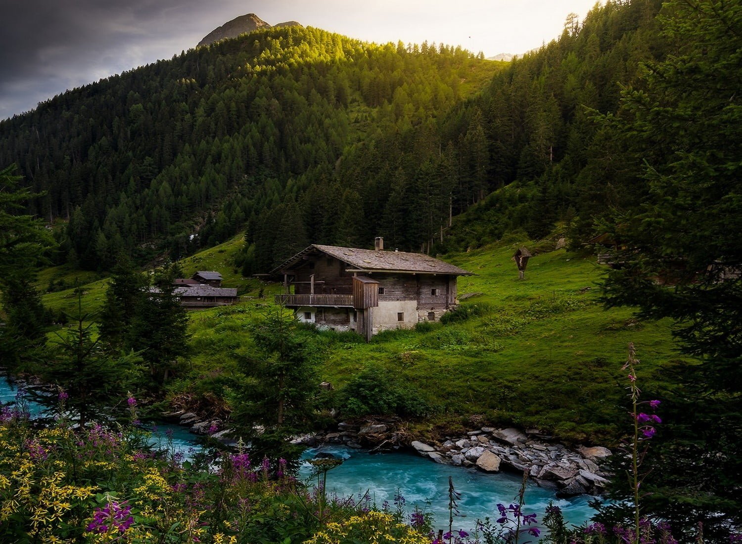 brown wooden shack nature landscape river cottage forest 2k
