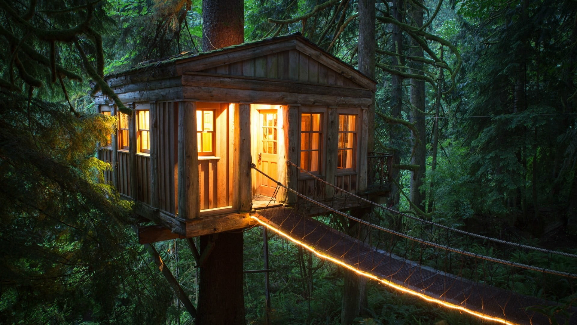 brown wooden treehouse turn on light of house tree 2k